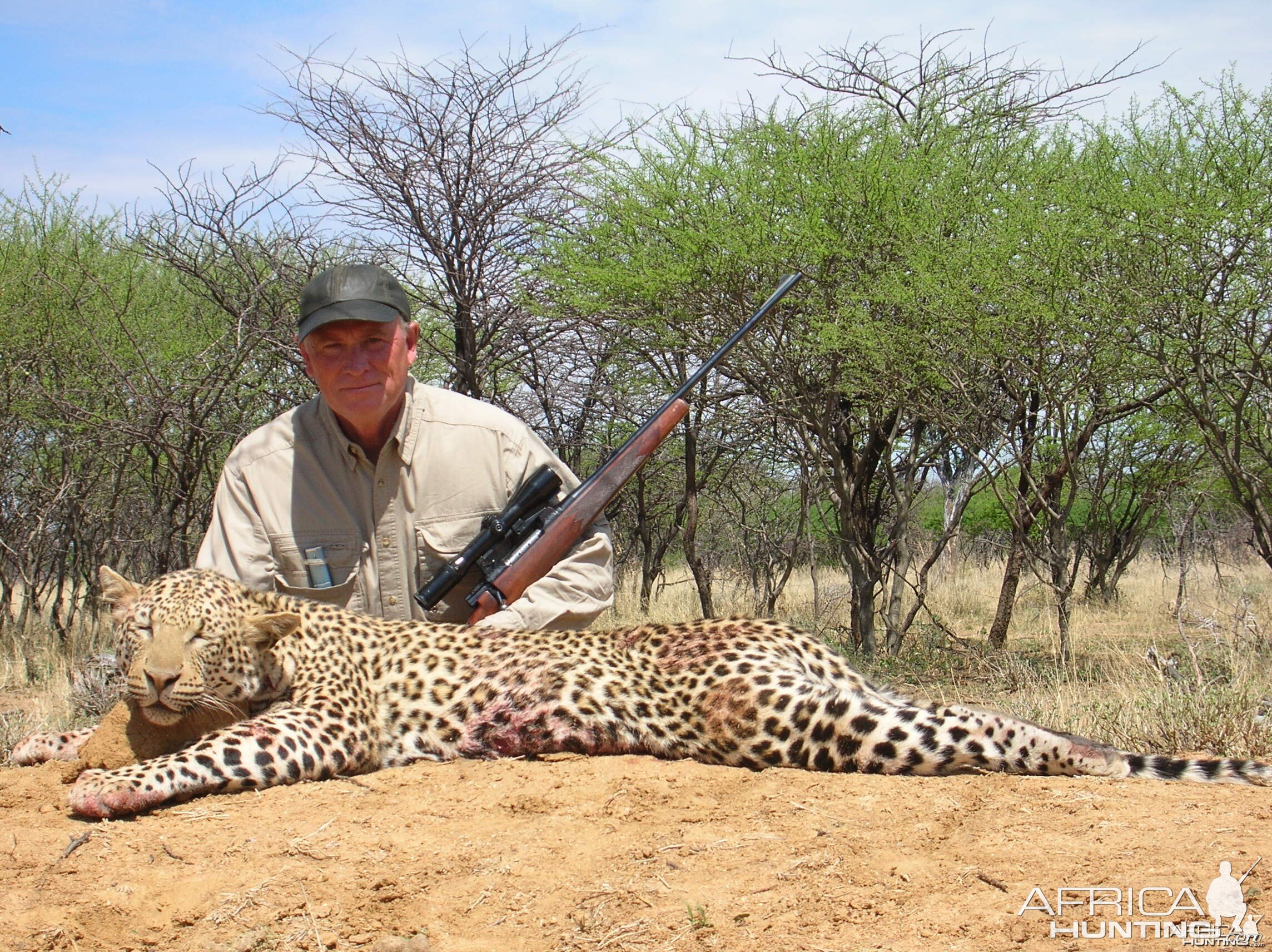 Hunting Leopard in Namibia