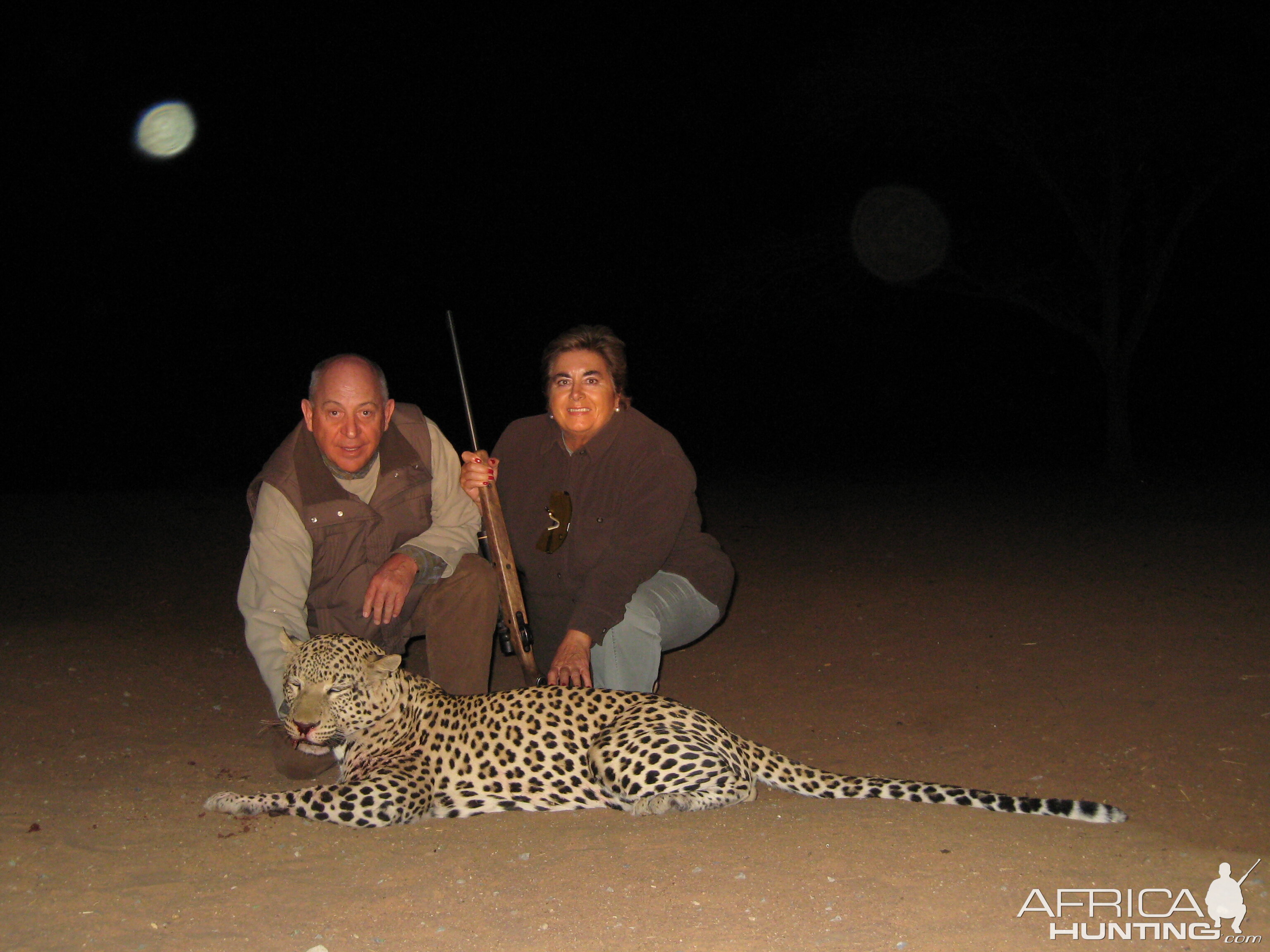 Hunting Leopard in Namibia