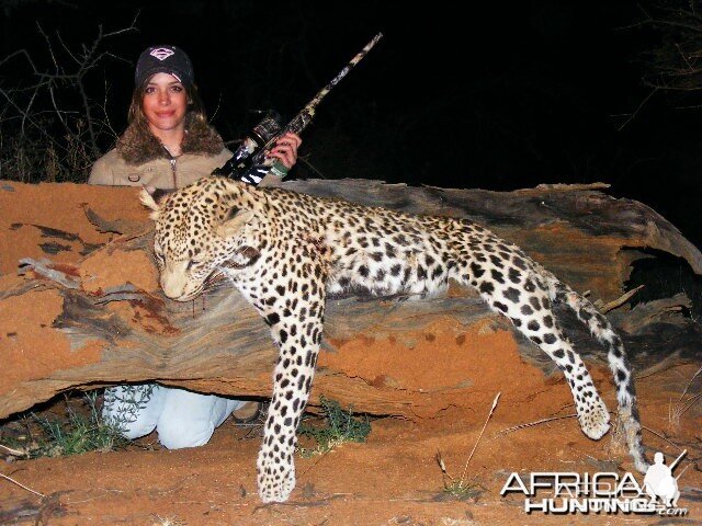 Hunting Leopard in Namibia