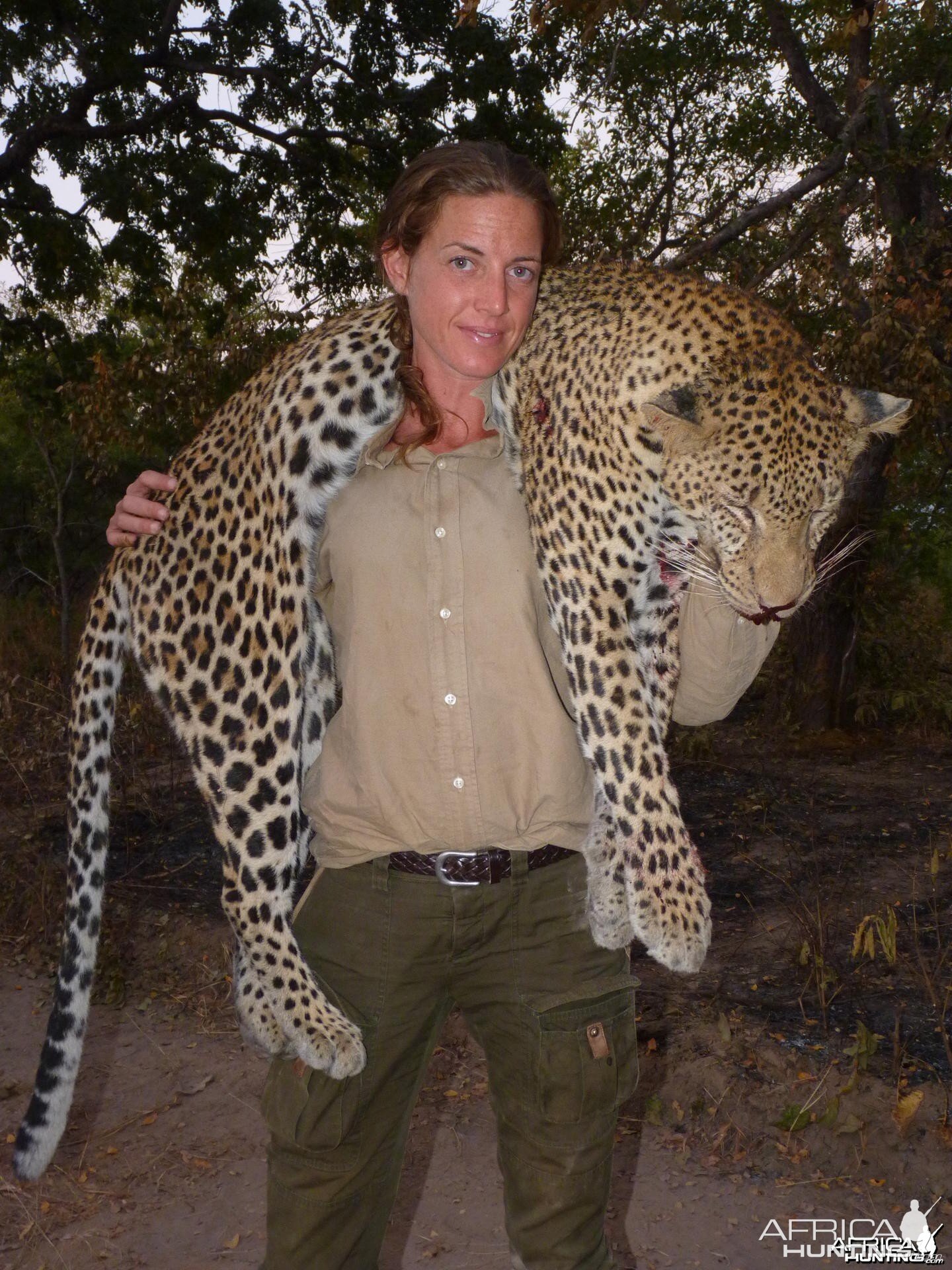 Hunting Leopard in Tanzania