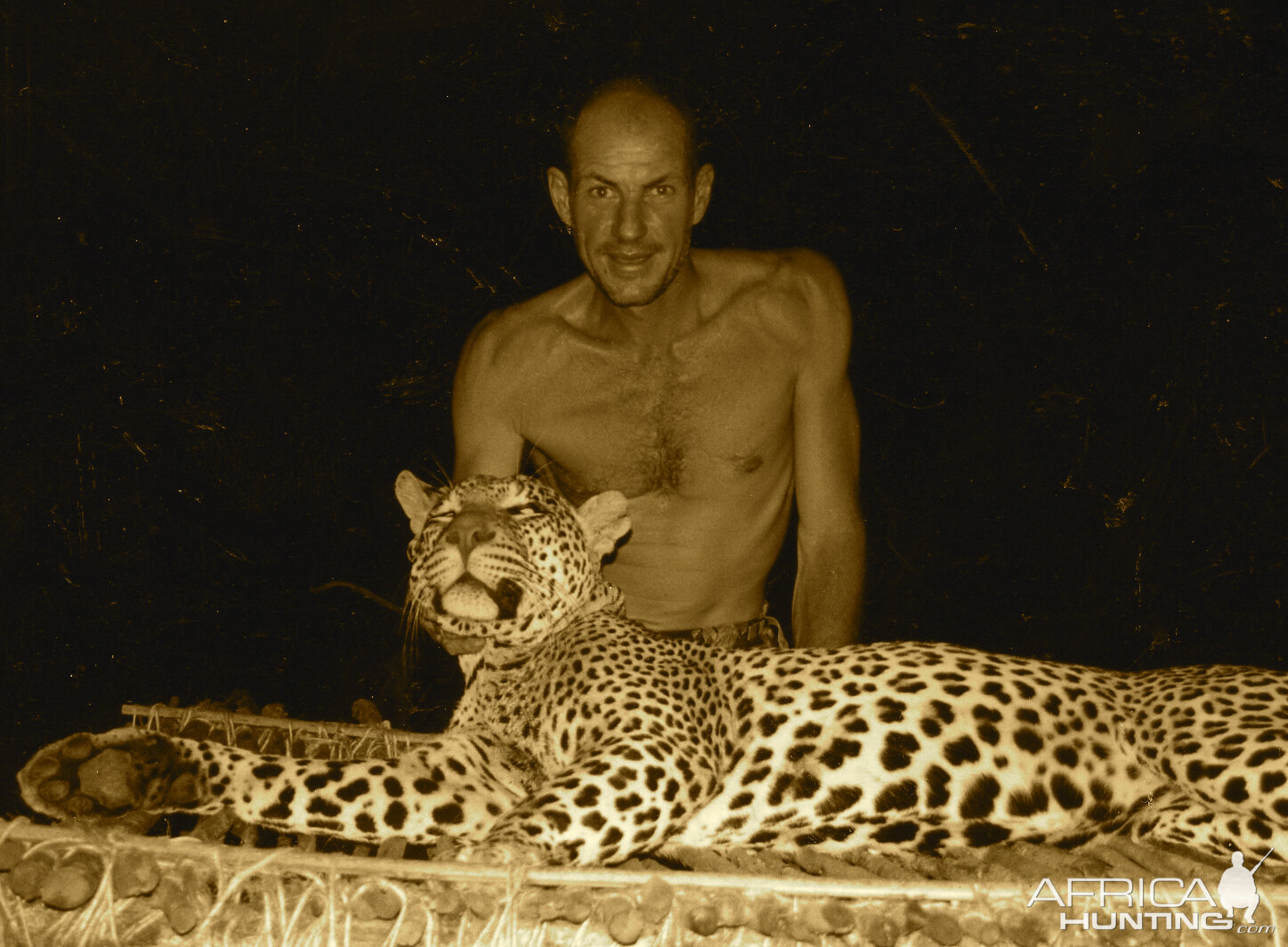 Hunting Leopard in Tanzania