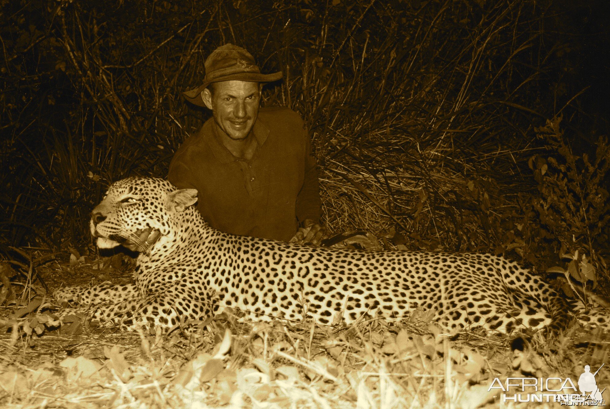 Hunting Leopard in Tanzania