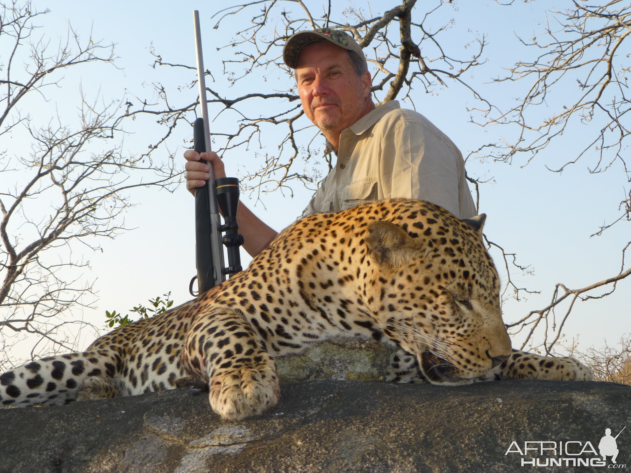 Hunting Leopard in Zimbabwe