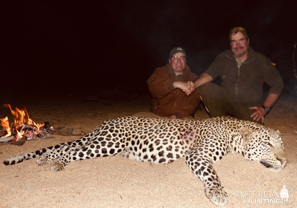 Hunting Leopard in Zimbabwe