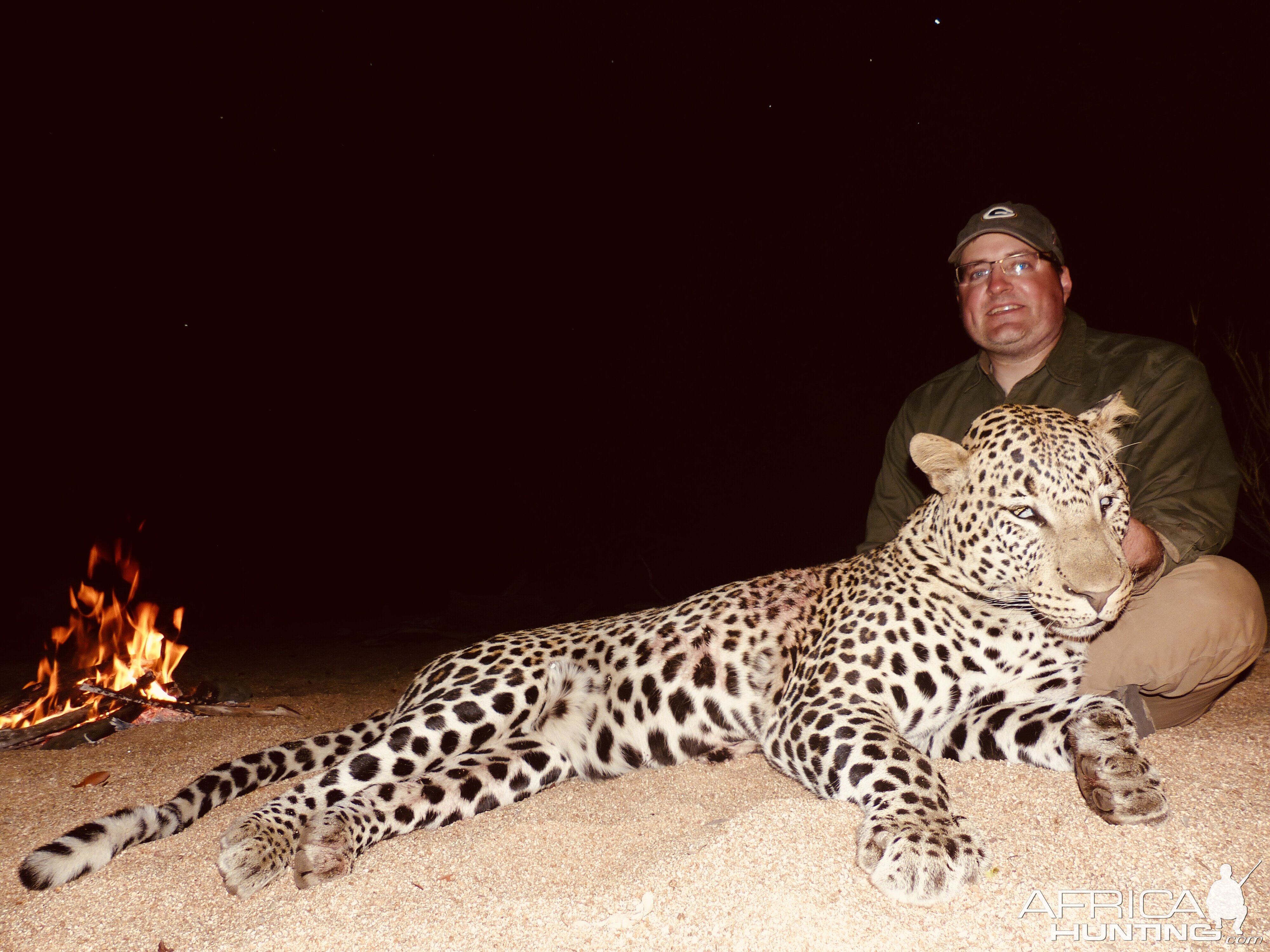 Hunting Leopard in Zimbabwe