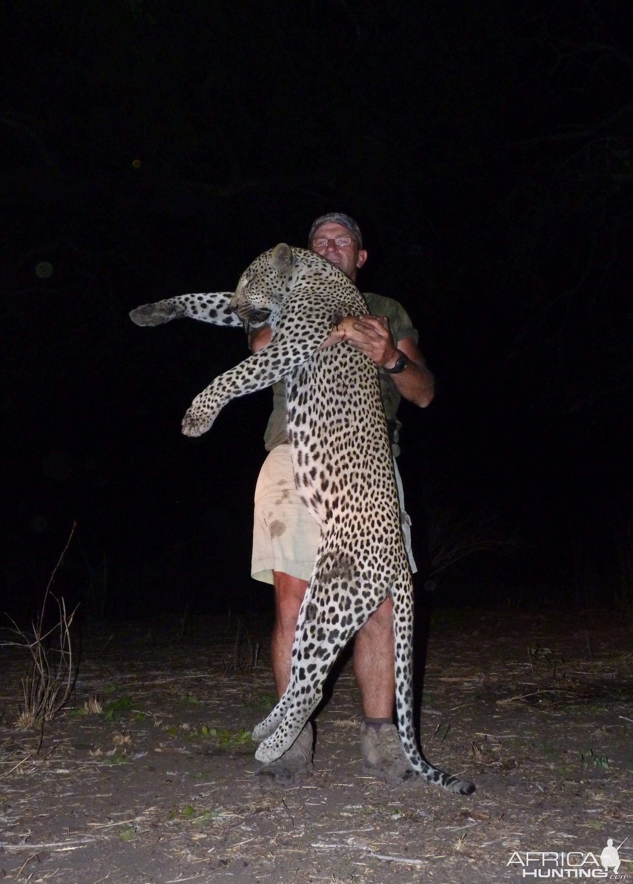 Hunting Leopard Tanzania