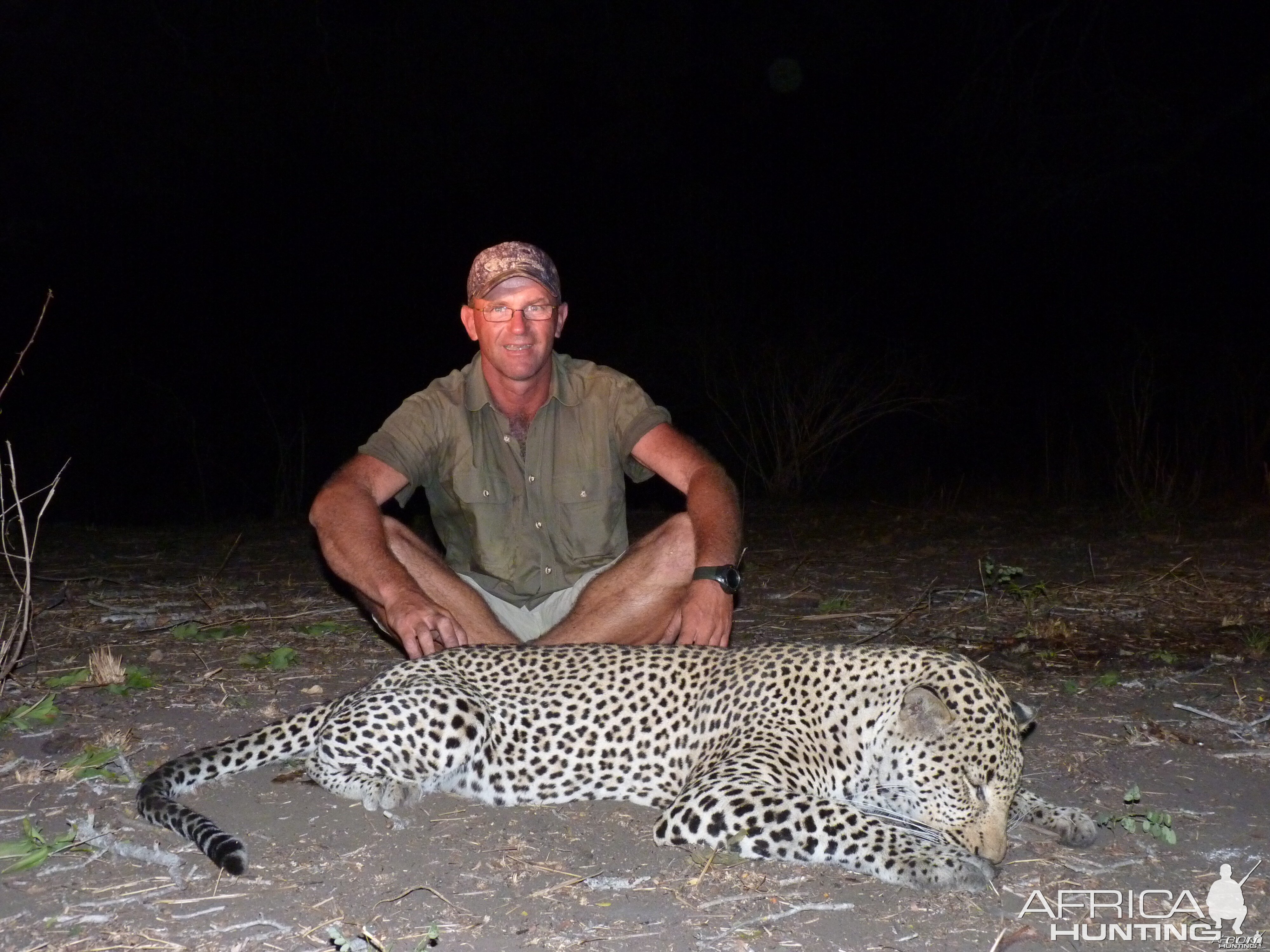 Hunting Leopard Tanzania