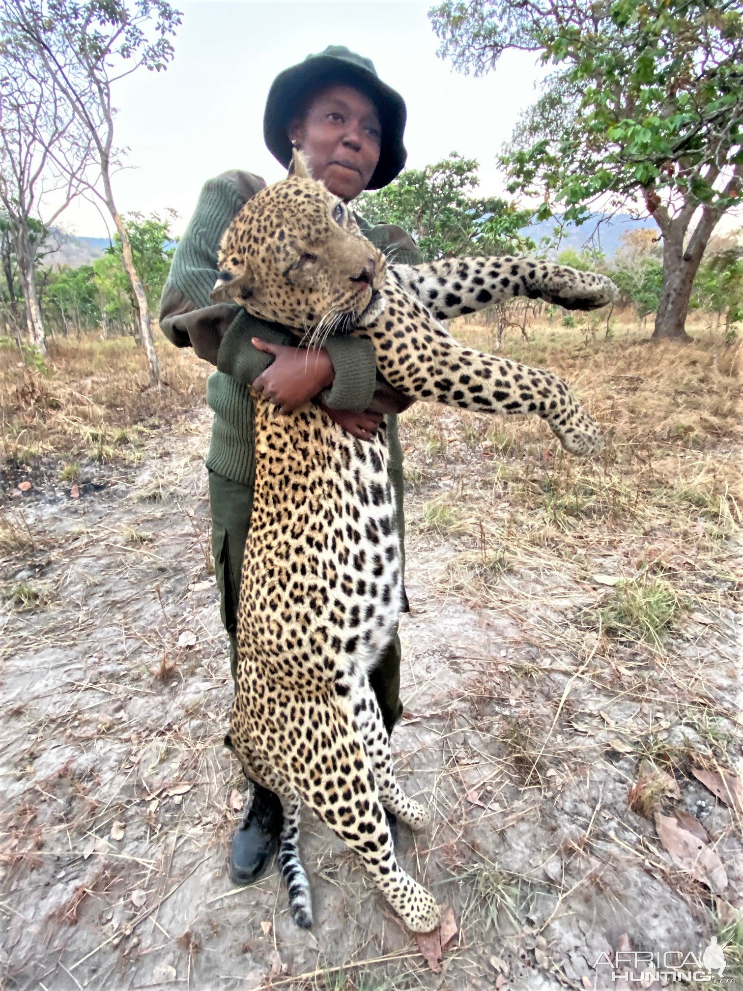 Hunting Leopard Tanzania