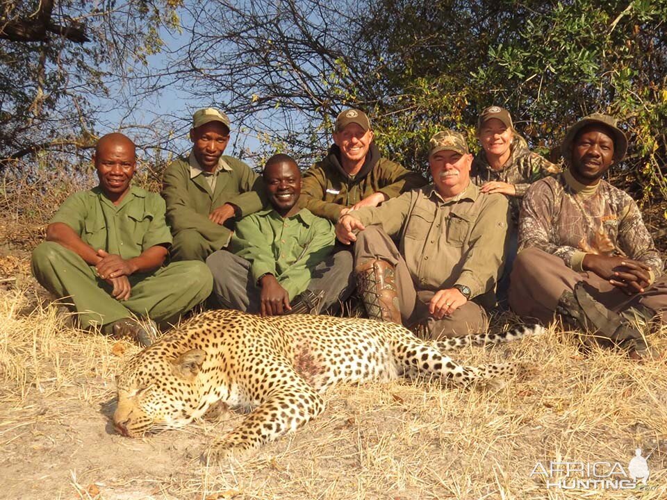 Hunting Leopard Tanzania