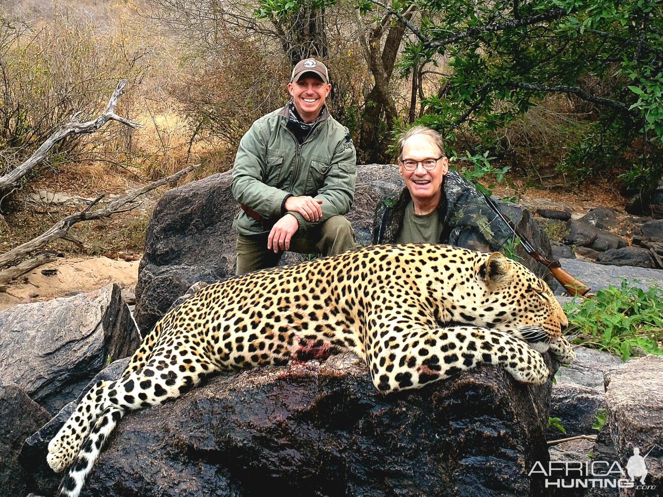 Hunting Leopard Tanzania