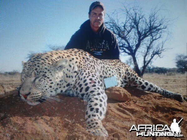 Hunting Leopard Westfalen Hunting Safaris in Namibia