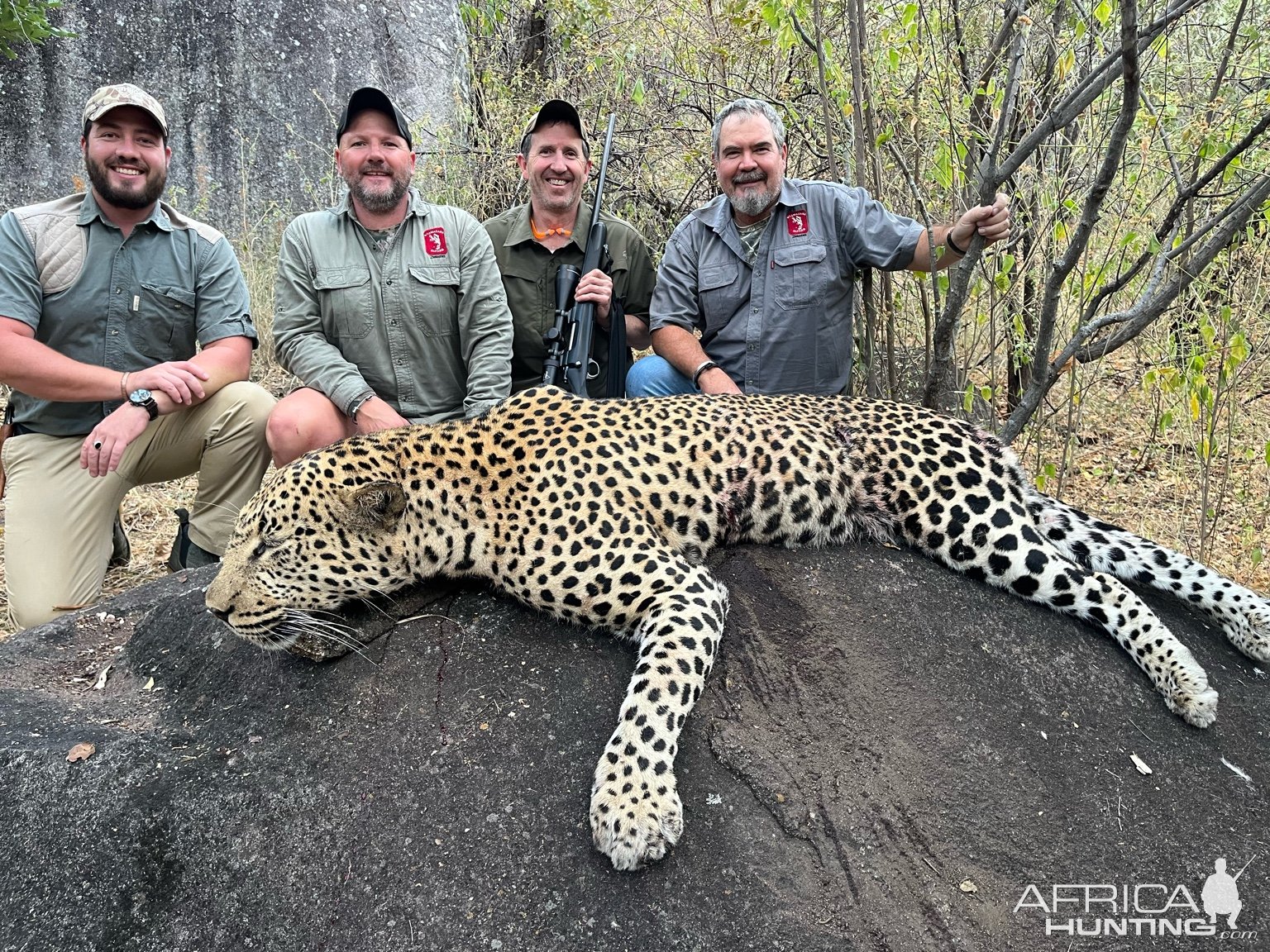 Hunting Leopard Zimbabwe