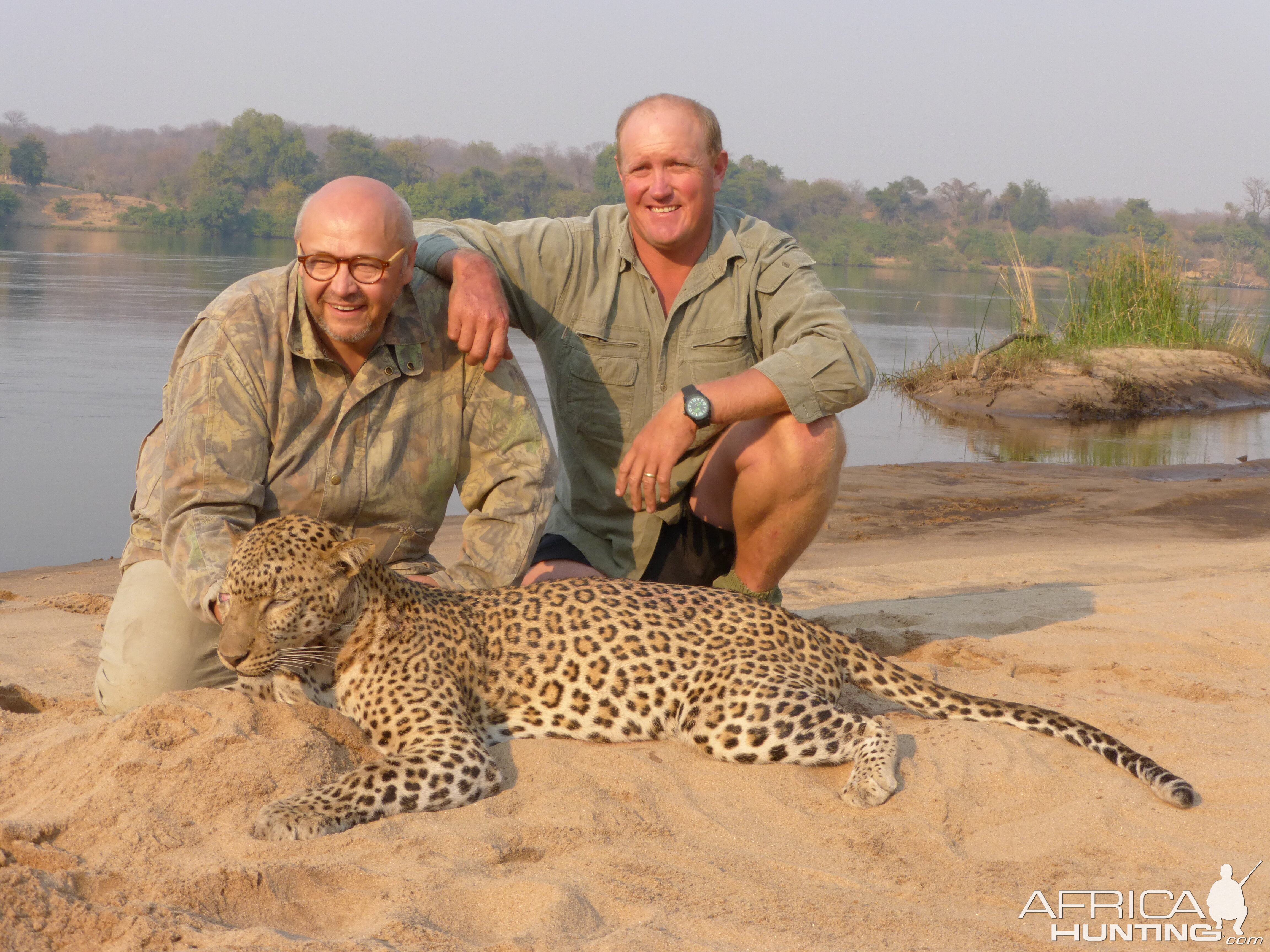 Hunting Leopard Zimbabwe