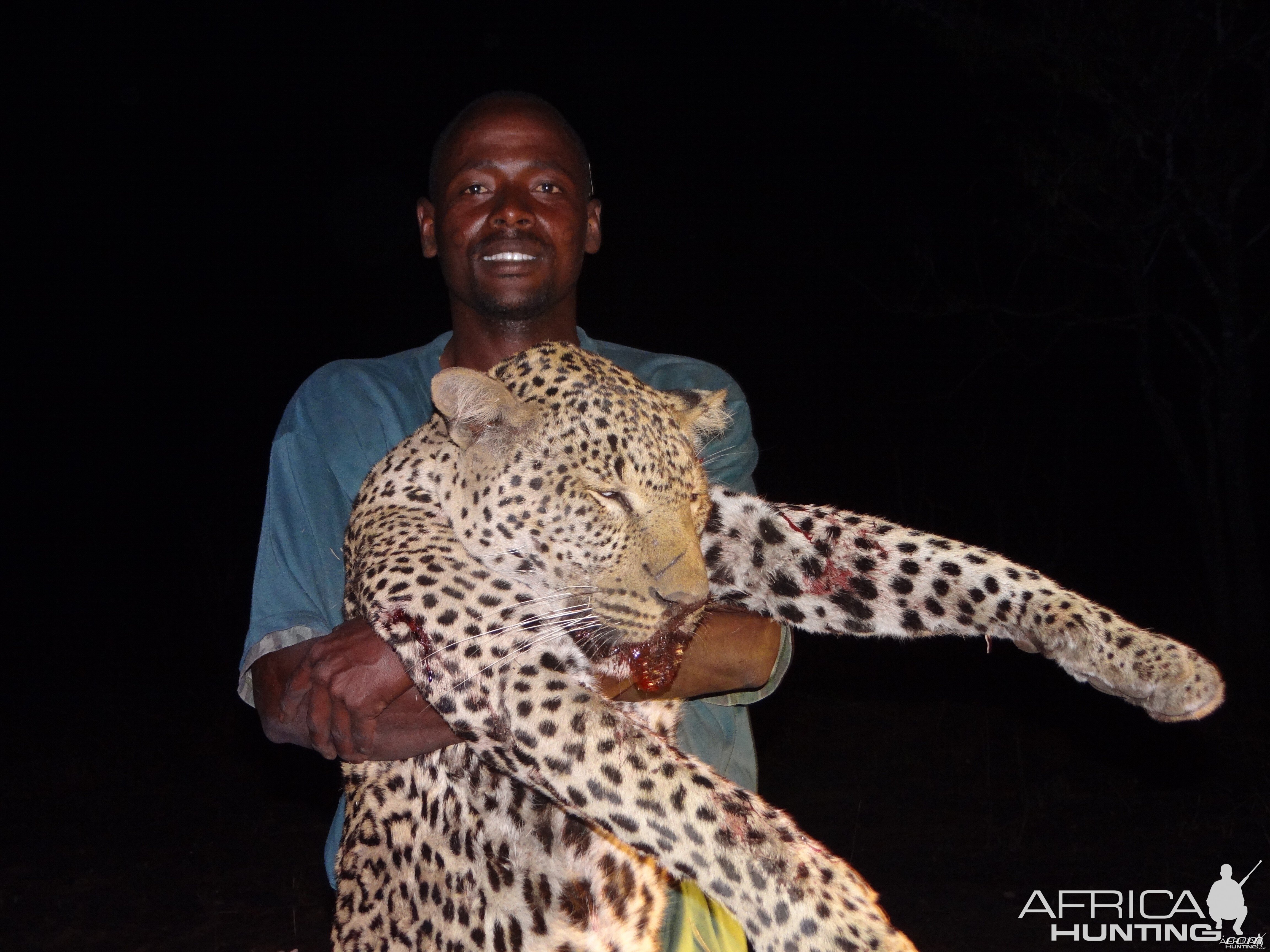 Hunting Leopard