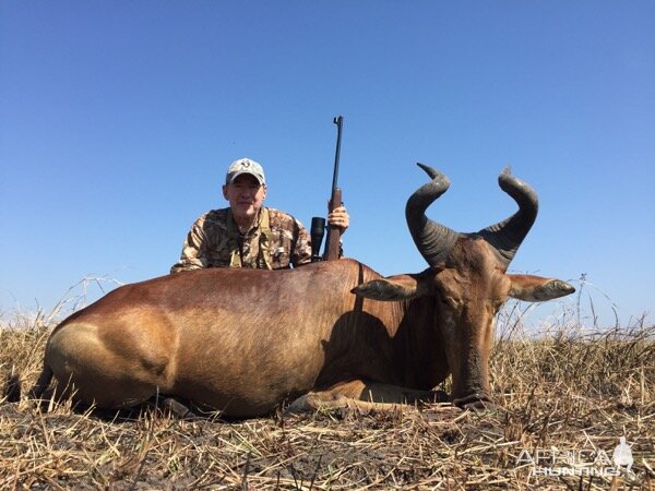 Hunting Lichtenstein's Hartebeest in South Africa