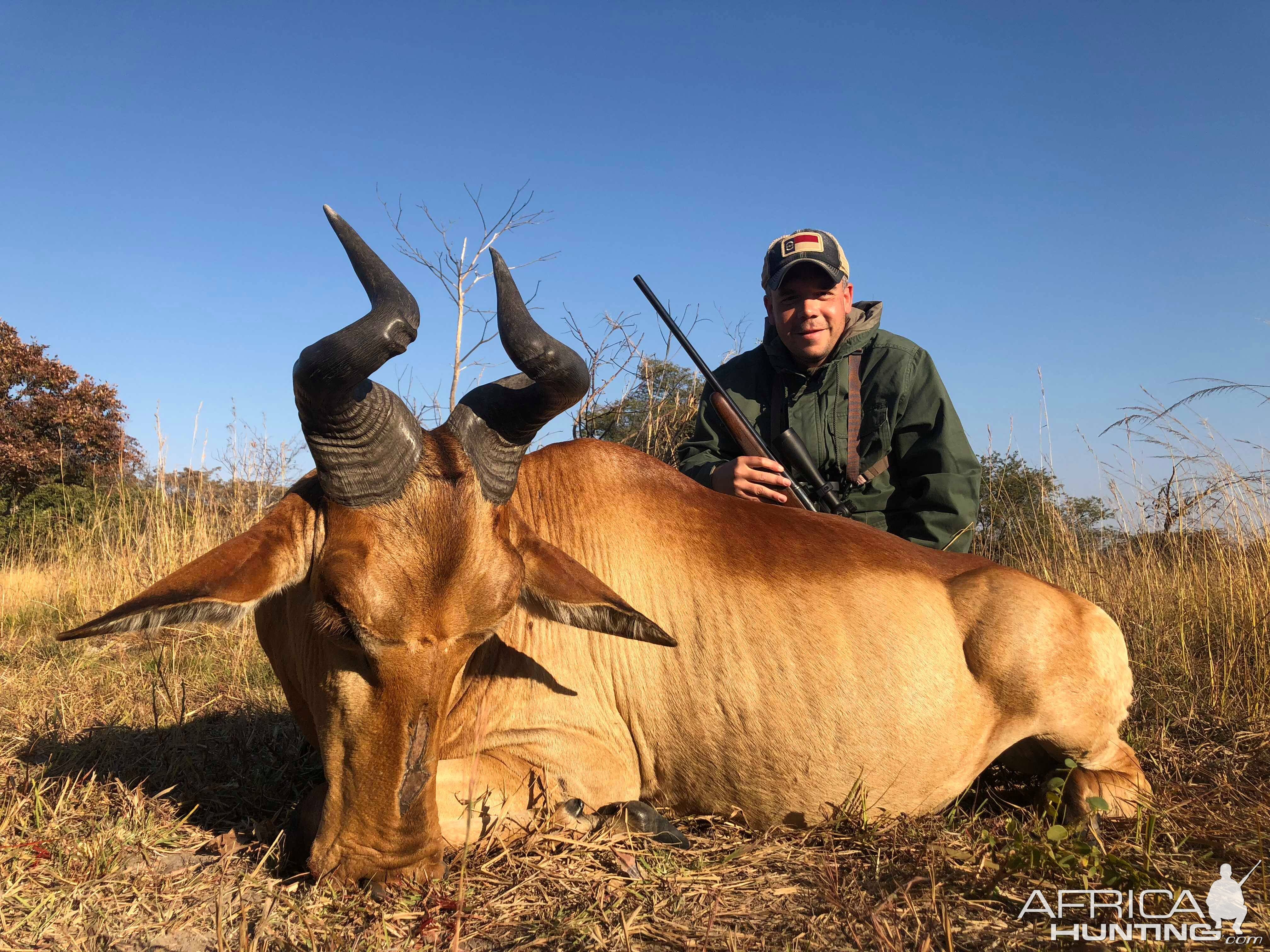 Hunting Lichtenstein's Hartebeest in Zambia