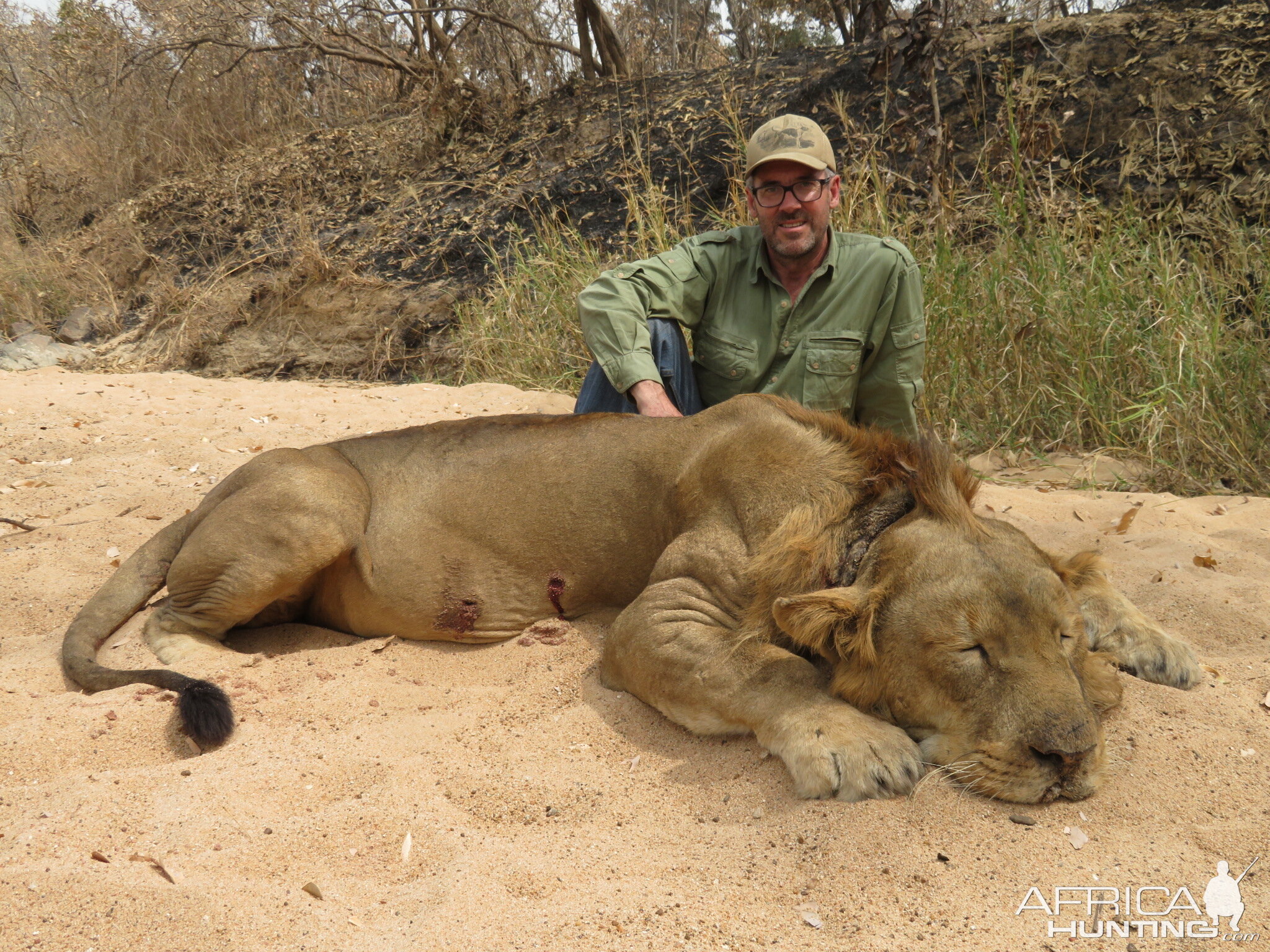 Hunting Lion in Cameroon