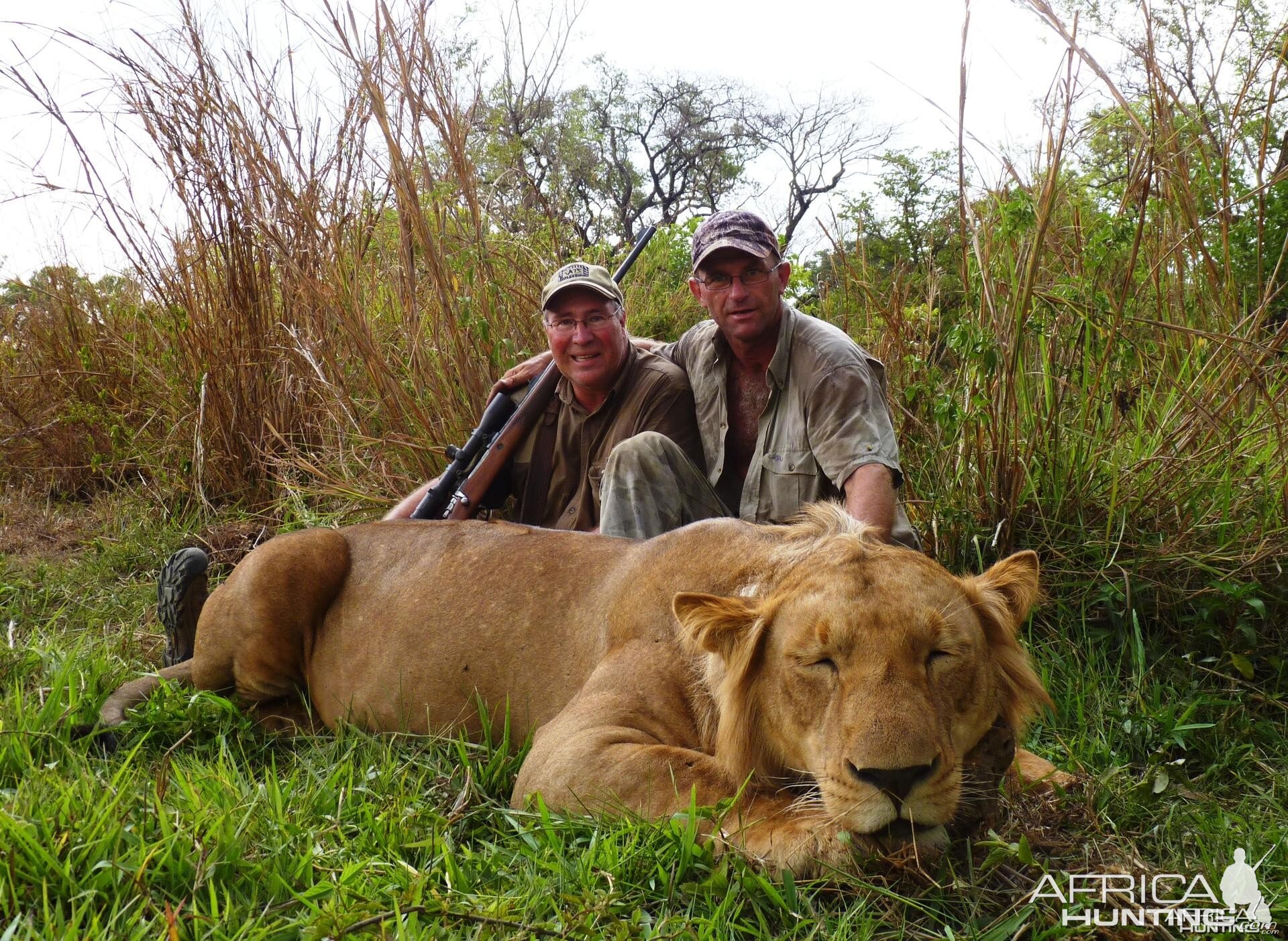 Hunting Lion in CAR