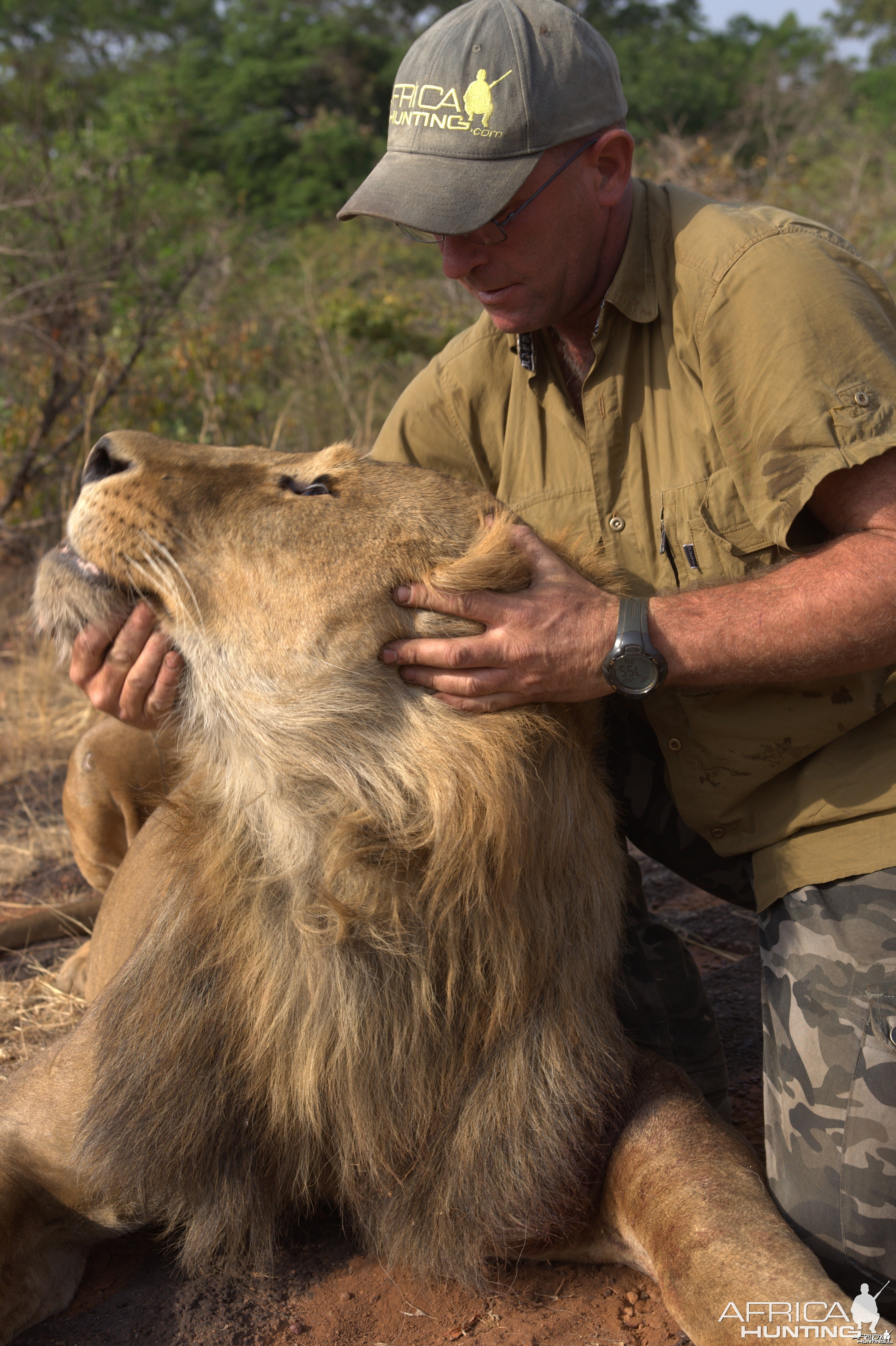 Hunting Lion in CAR