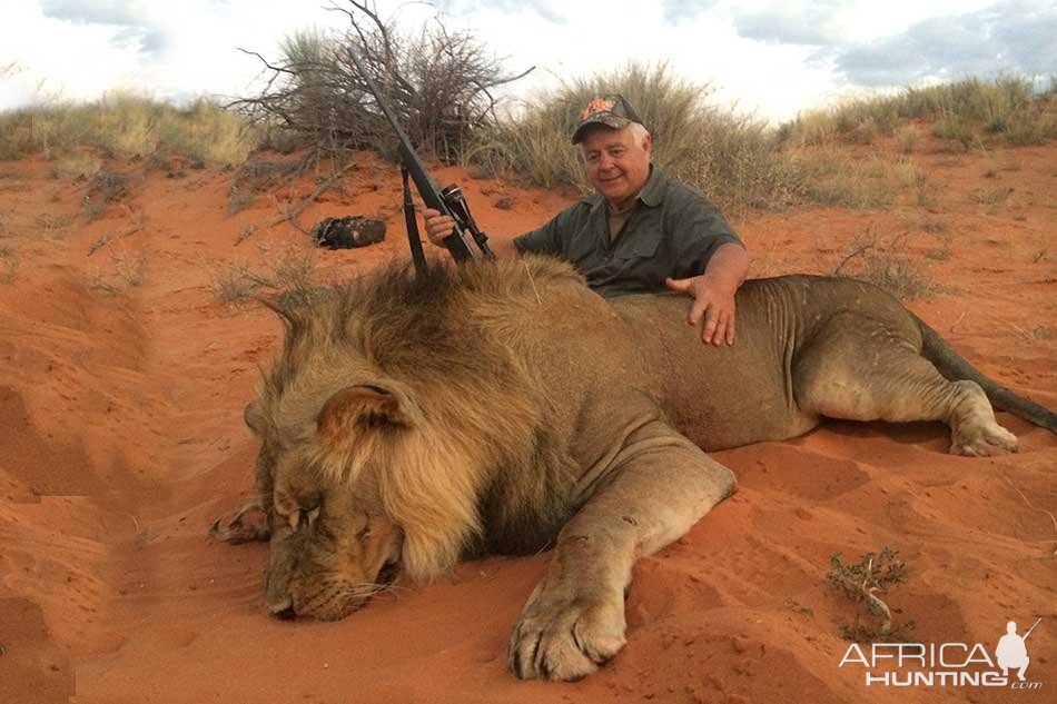 Hunting Lion in Namibia