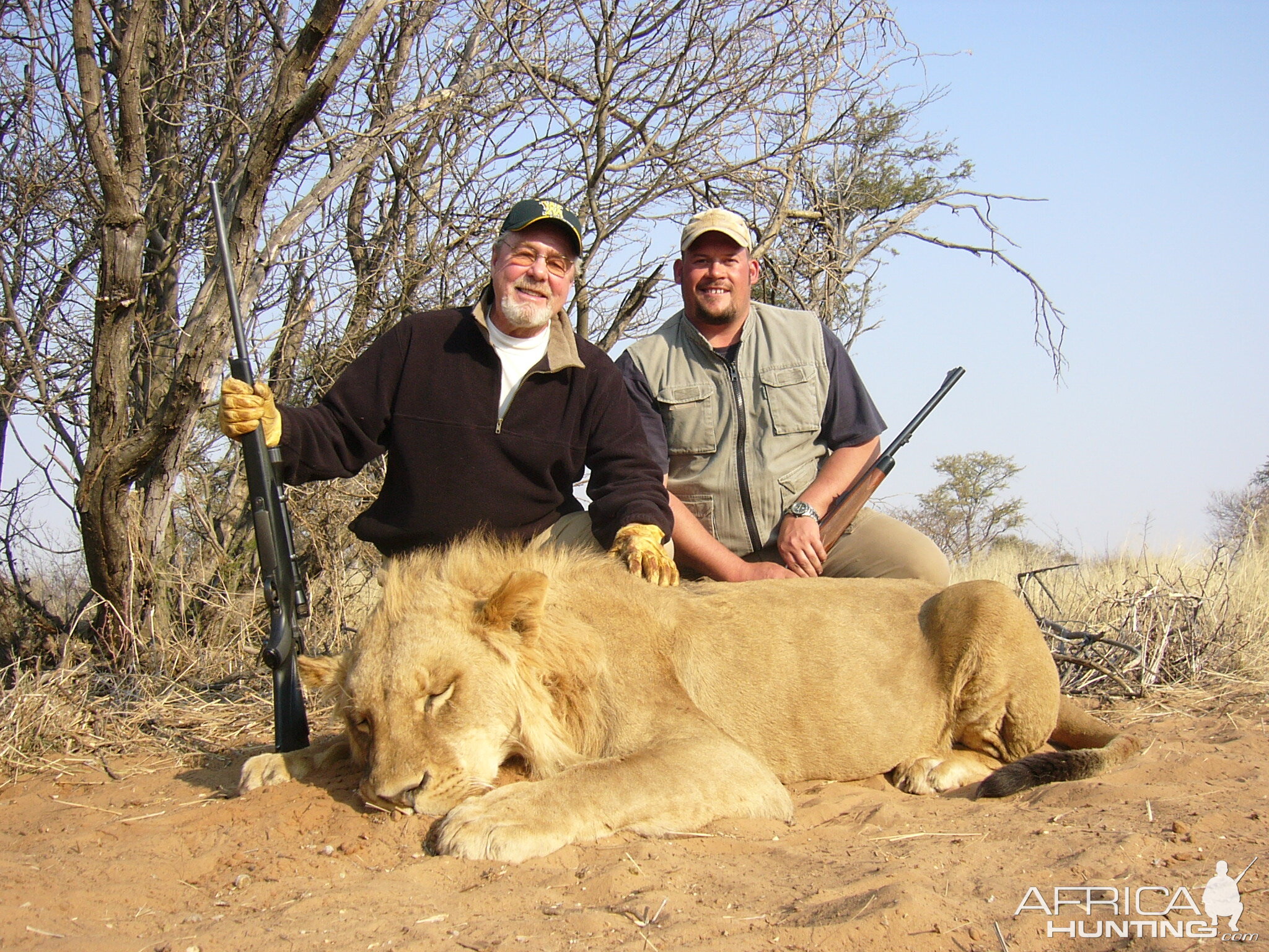 Hunting Lion in South Africa