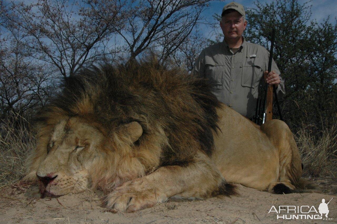 Hunting Lion in South Africa