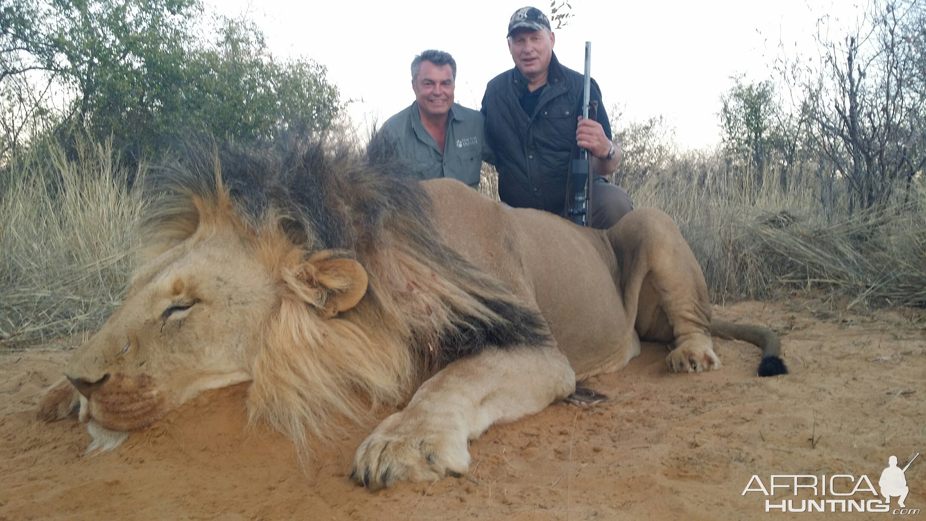 Hunting Lion in South Africa