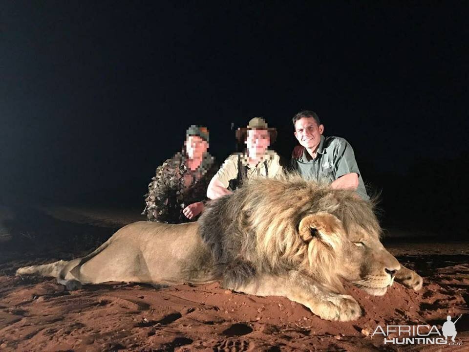 Hunting Lion in South Africa