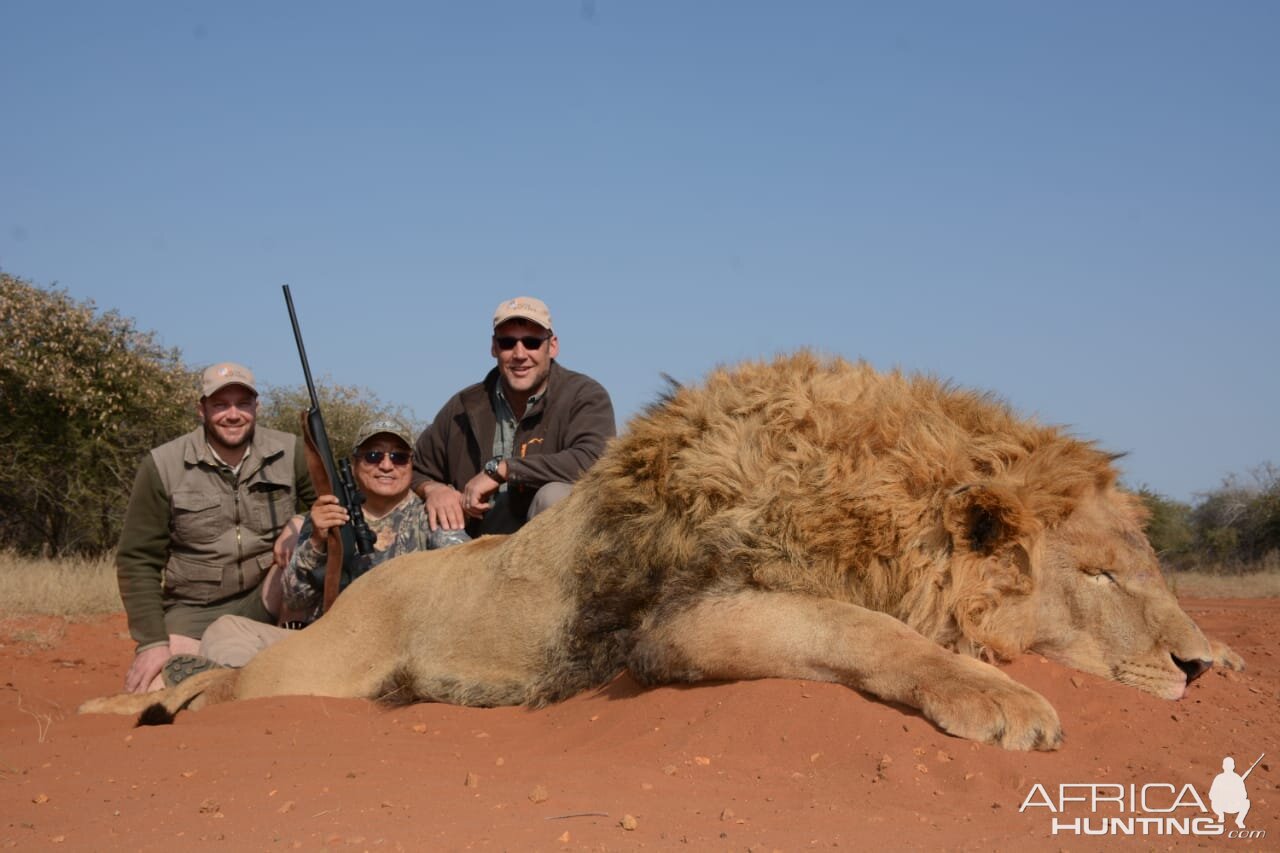 Hunting Lion in South Africa