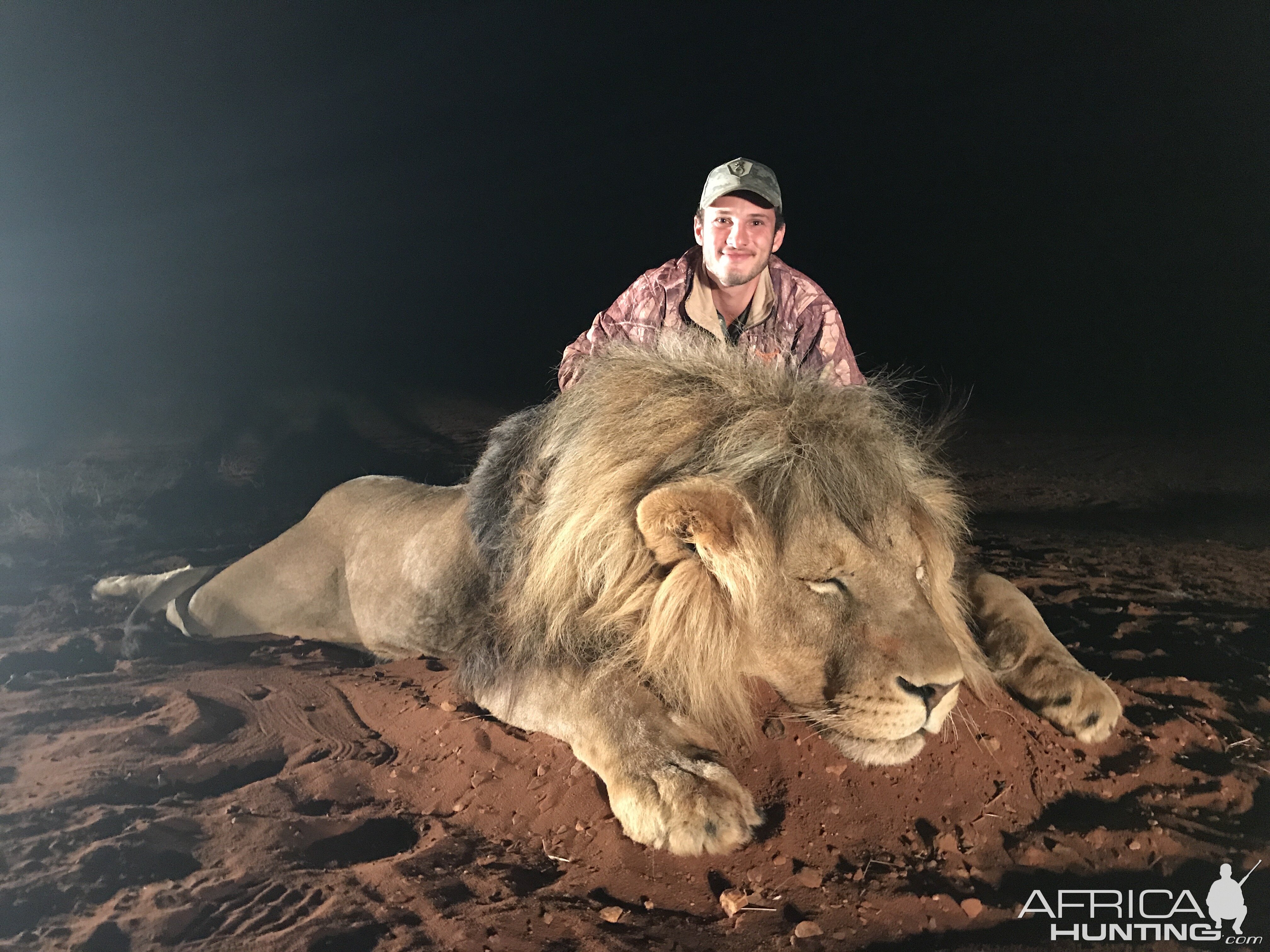 Hunting Lion in South Africa