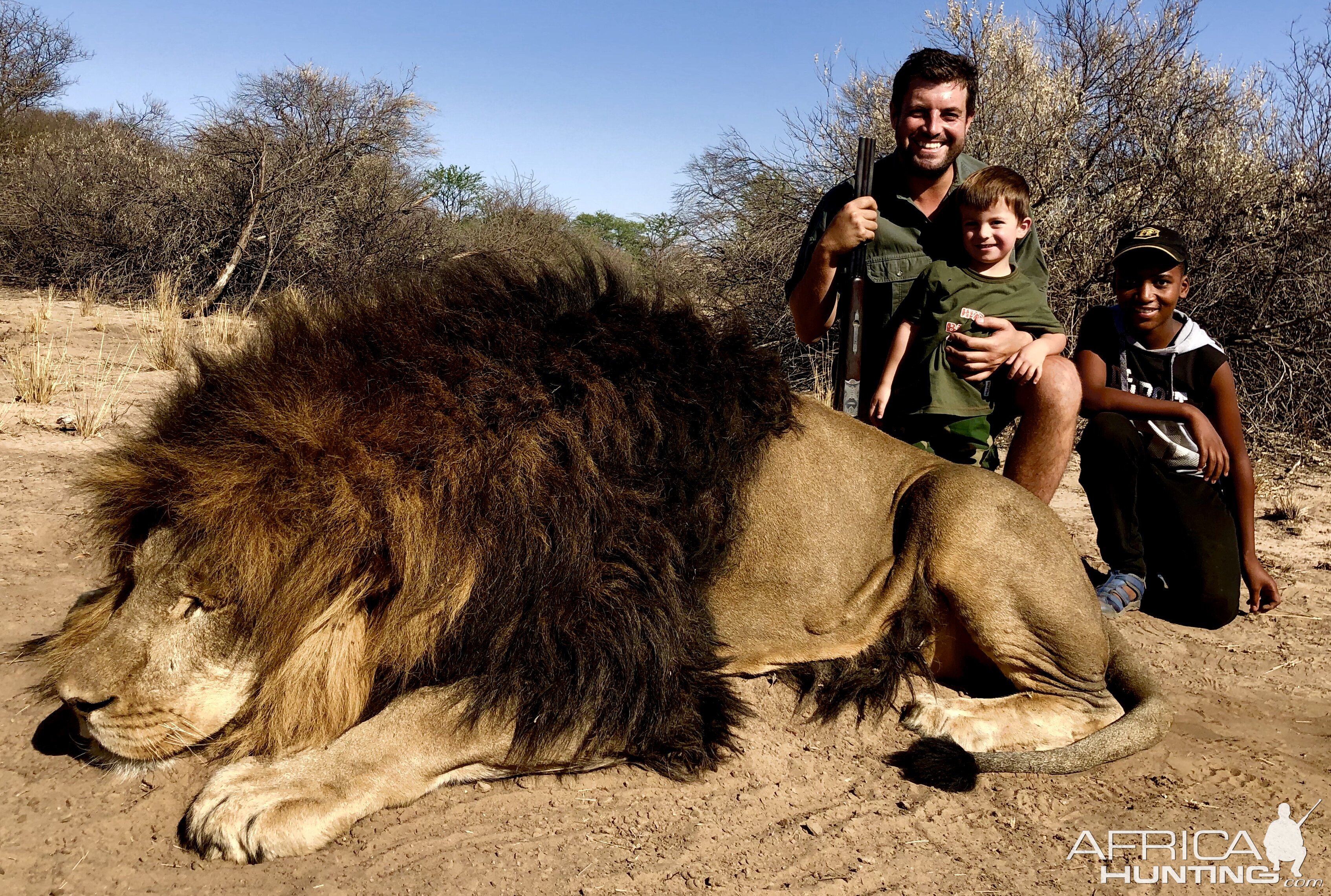 Hunting Lion in South Africa