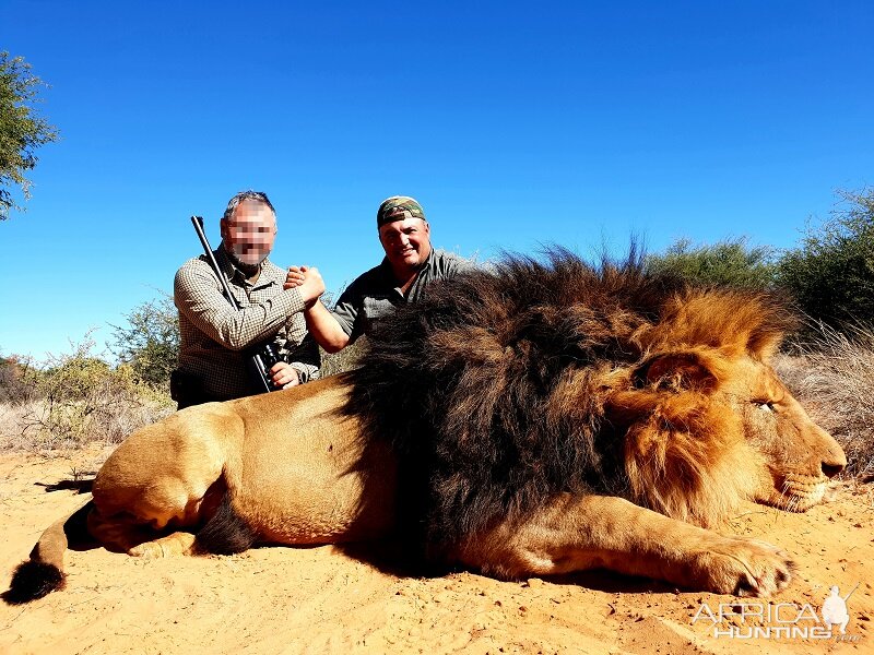 Hunting Lion in South Africa