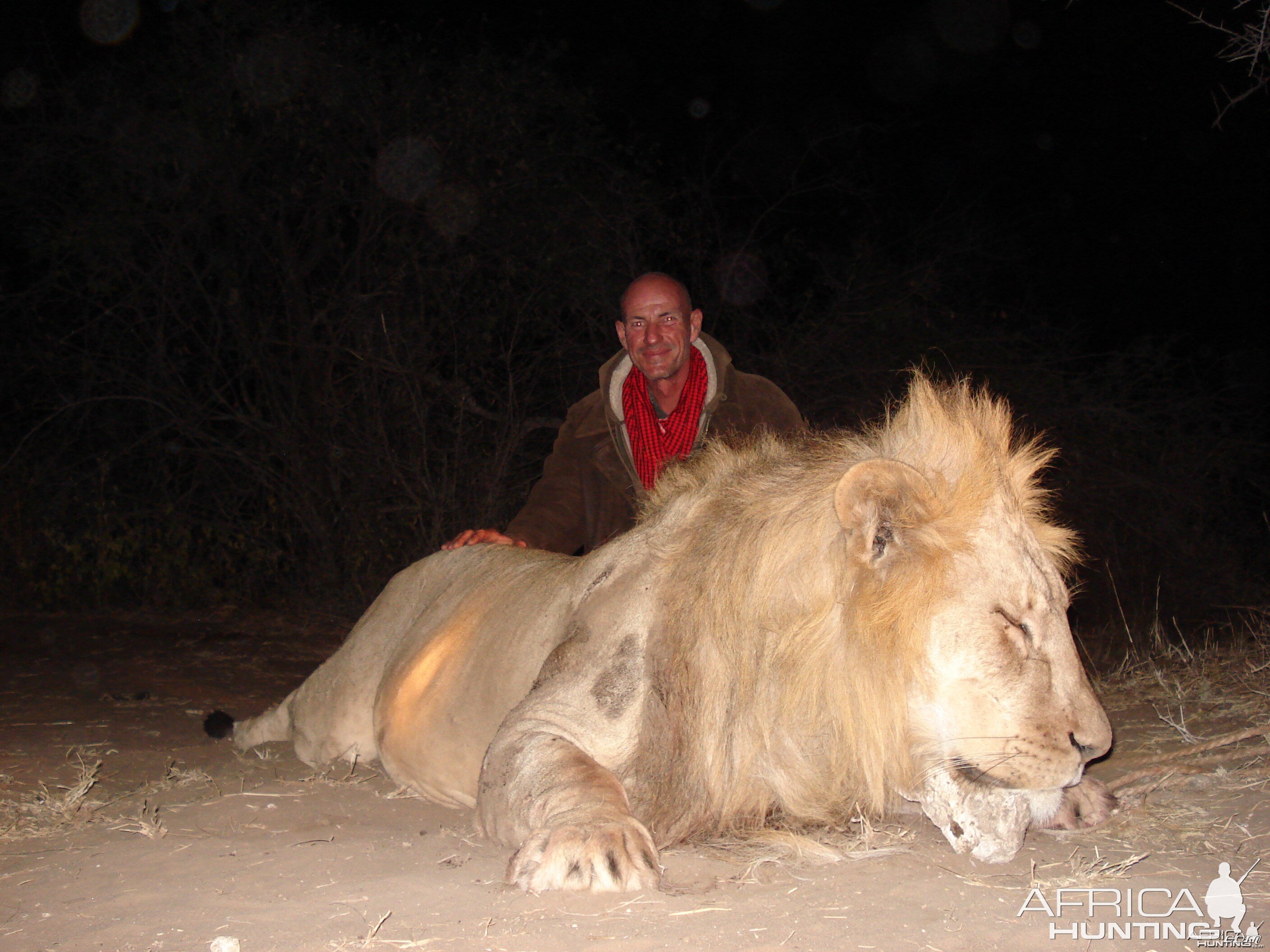 Hunting Lion in Tanzania