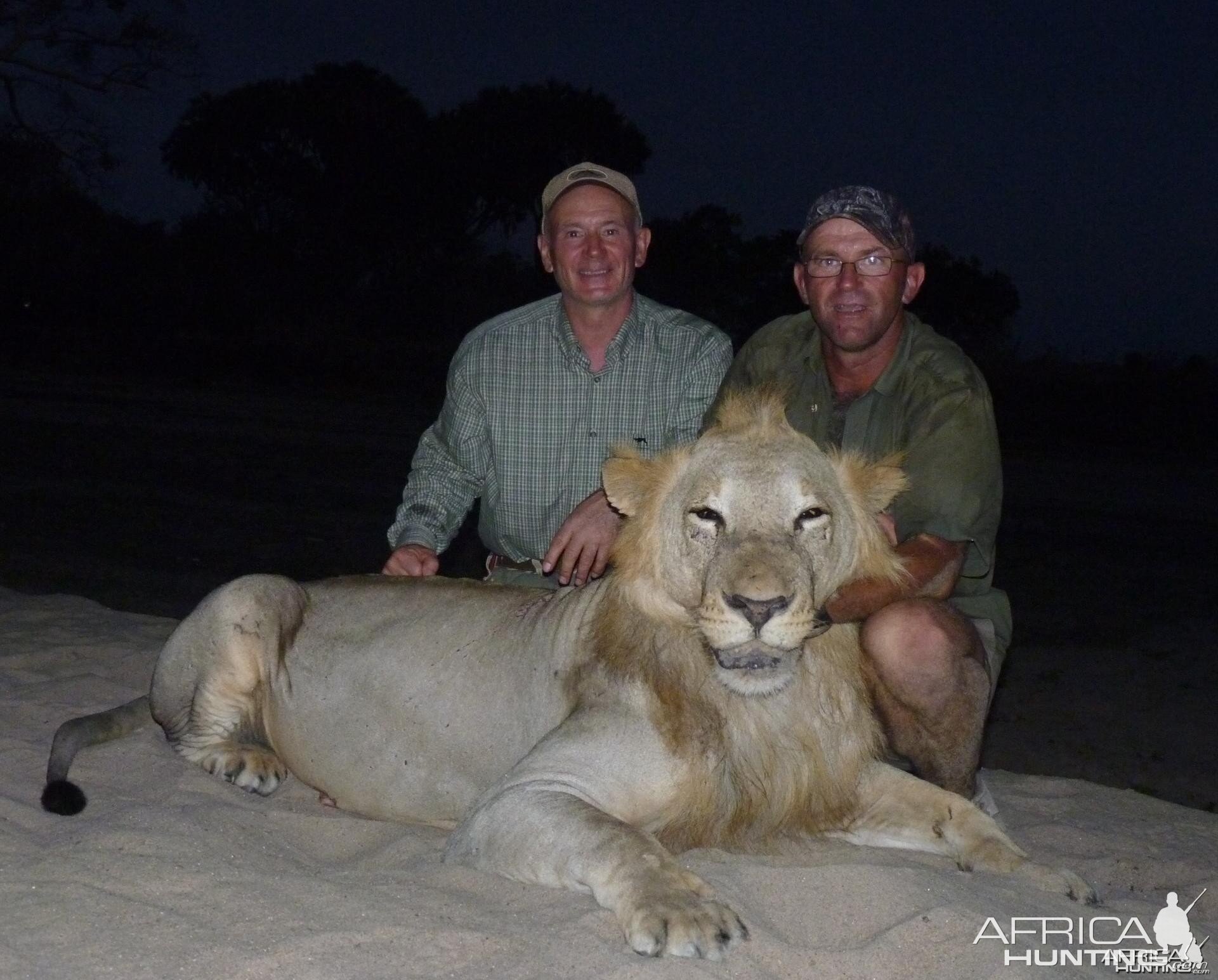 Hunting Lion in Tanzania