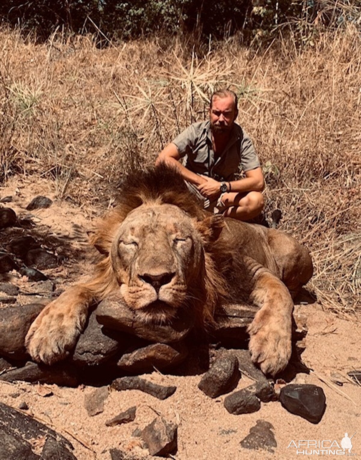 Hunting Lion in Zambia