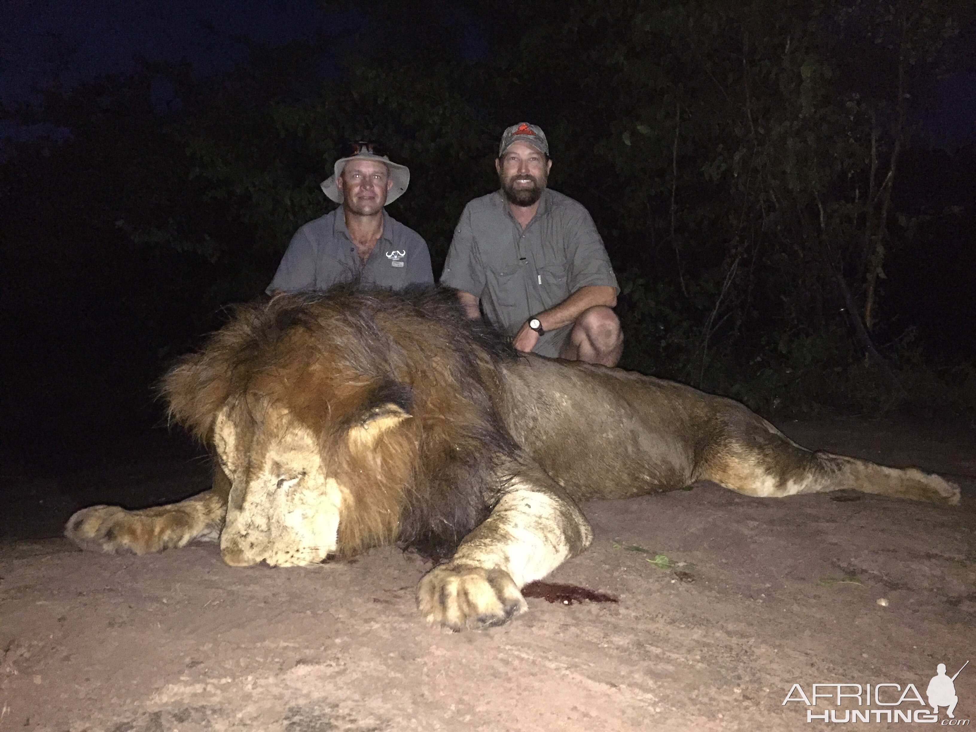 Hunting Lion in Zimbabwe