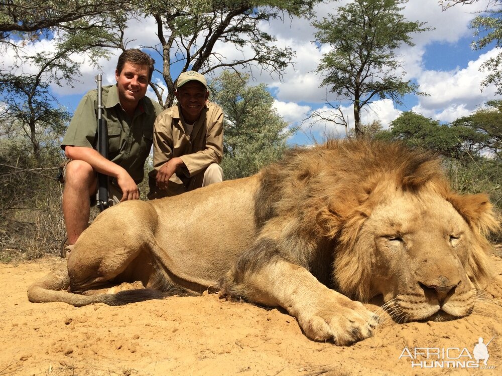 Hunting Lion South Africa