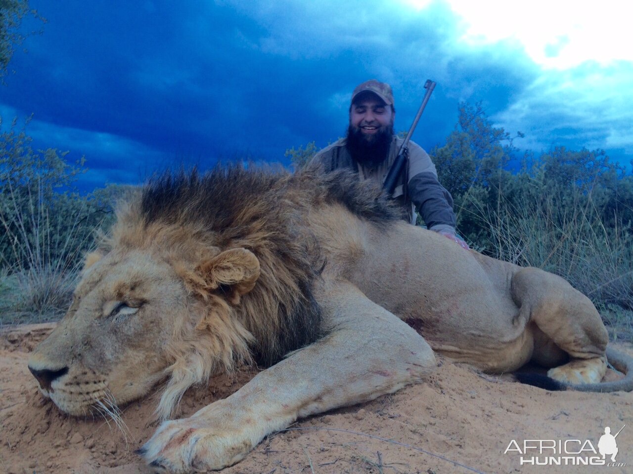 Hunting Lion South Africa