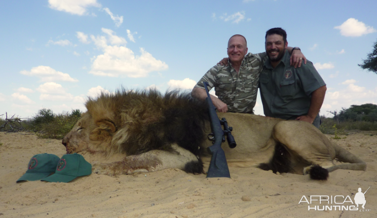 Hunting Lion South Africa