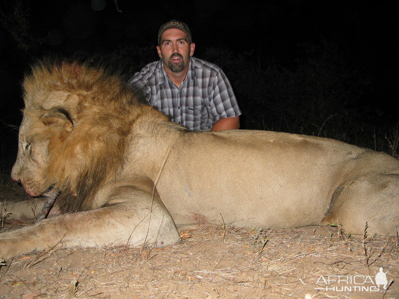 Hunting Lion South Africa