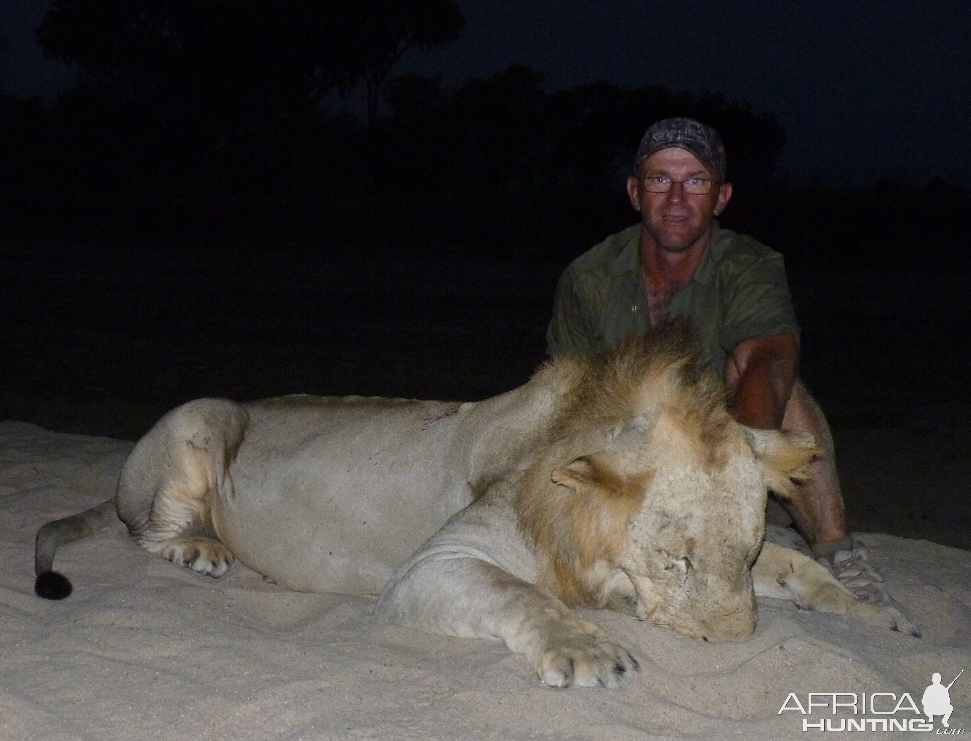 Hunting Lion Tanzania