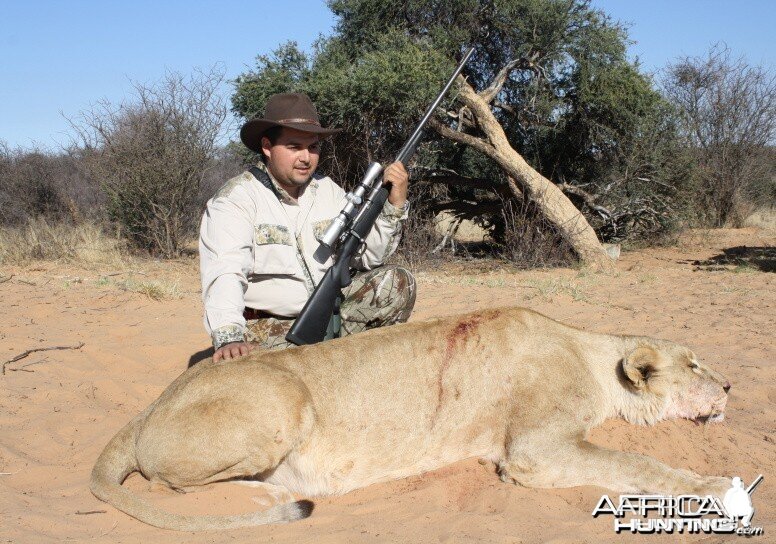 Hunting lion with Savanna Hunting Safaris