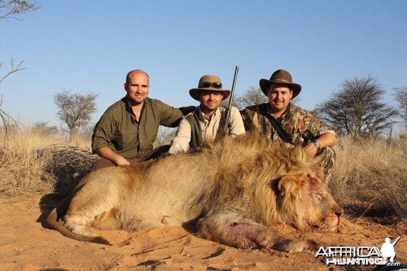 Hunting lion with Savanna Hunting Safaris