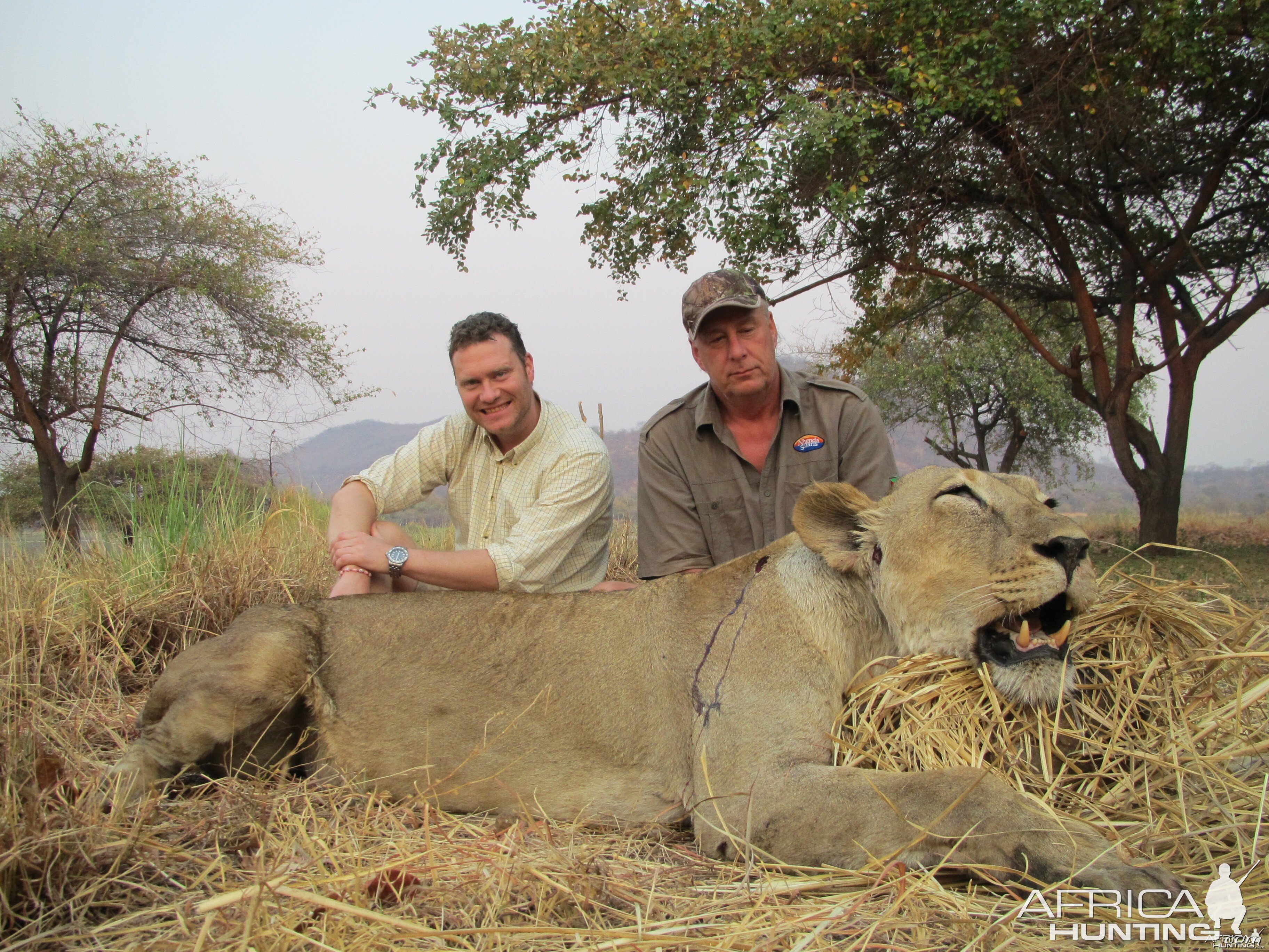 Hunting Lioness in Mozambique