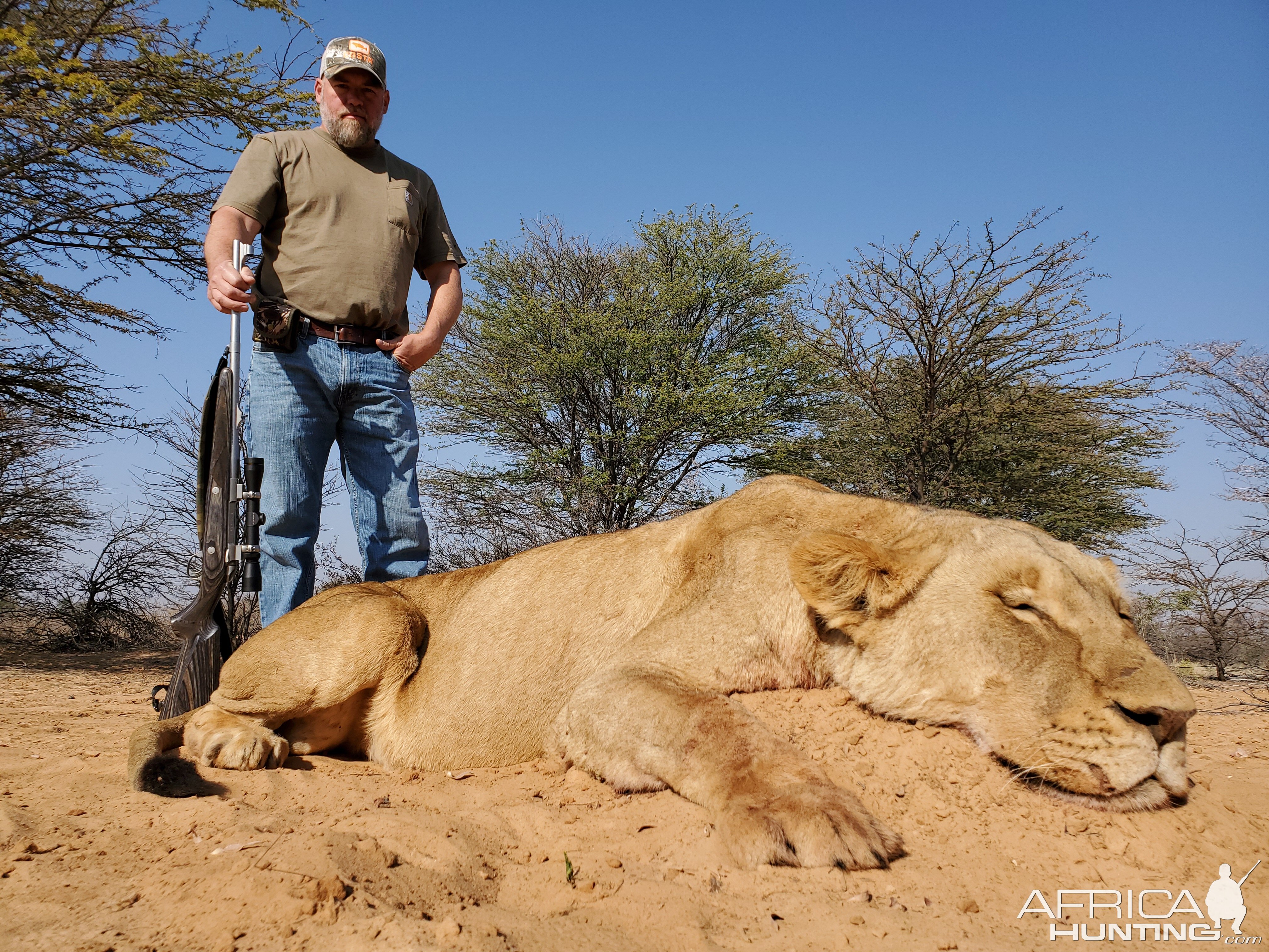 Hunting Lioness in South Africa