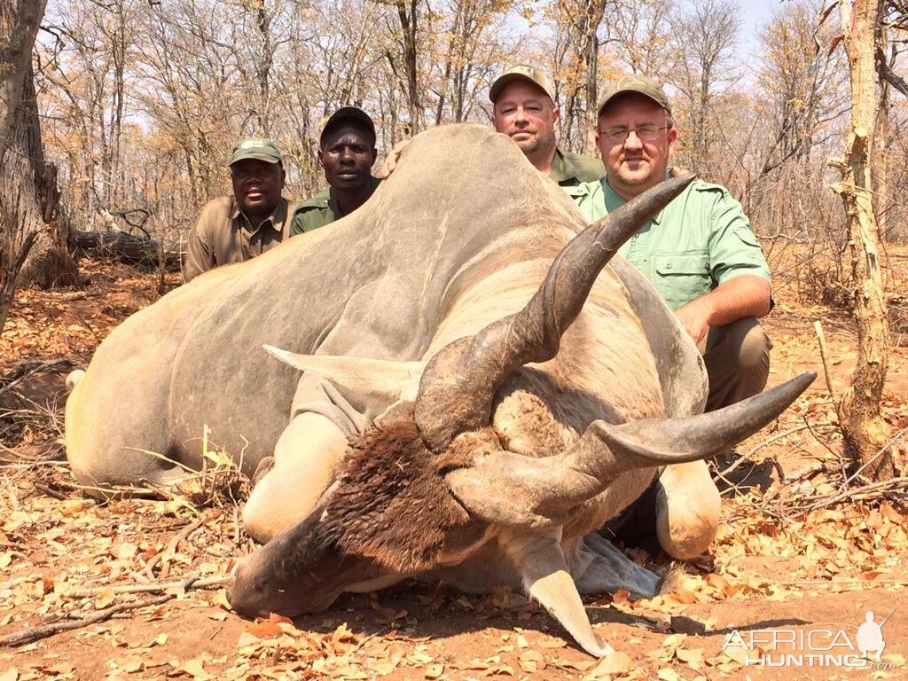 Hunting Livingstone Eland Zimbabwe