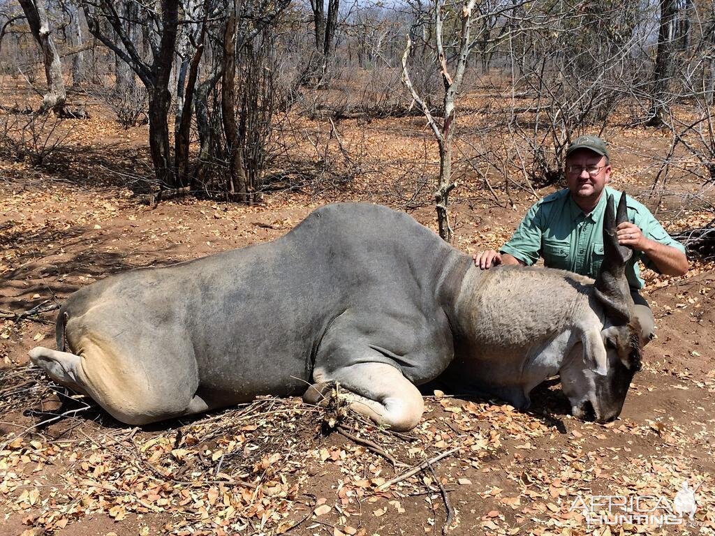 Hunting Livingstone Eland Zimbabwe