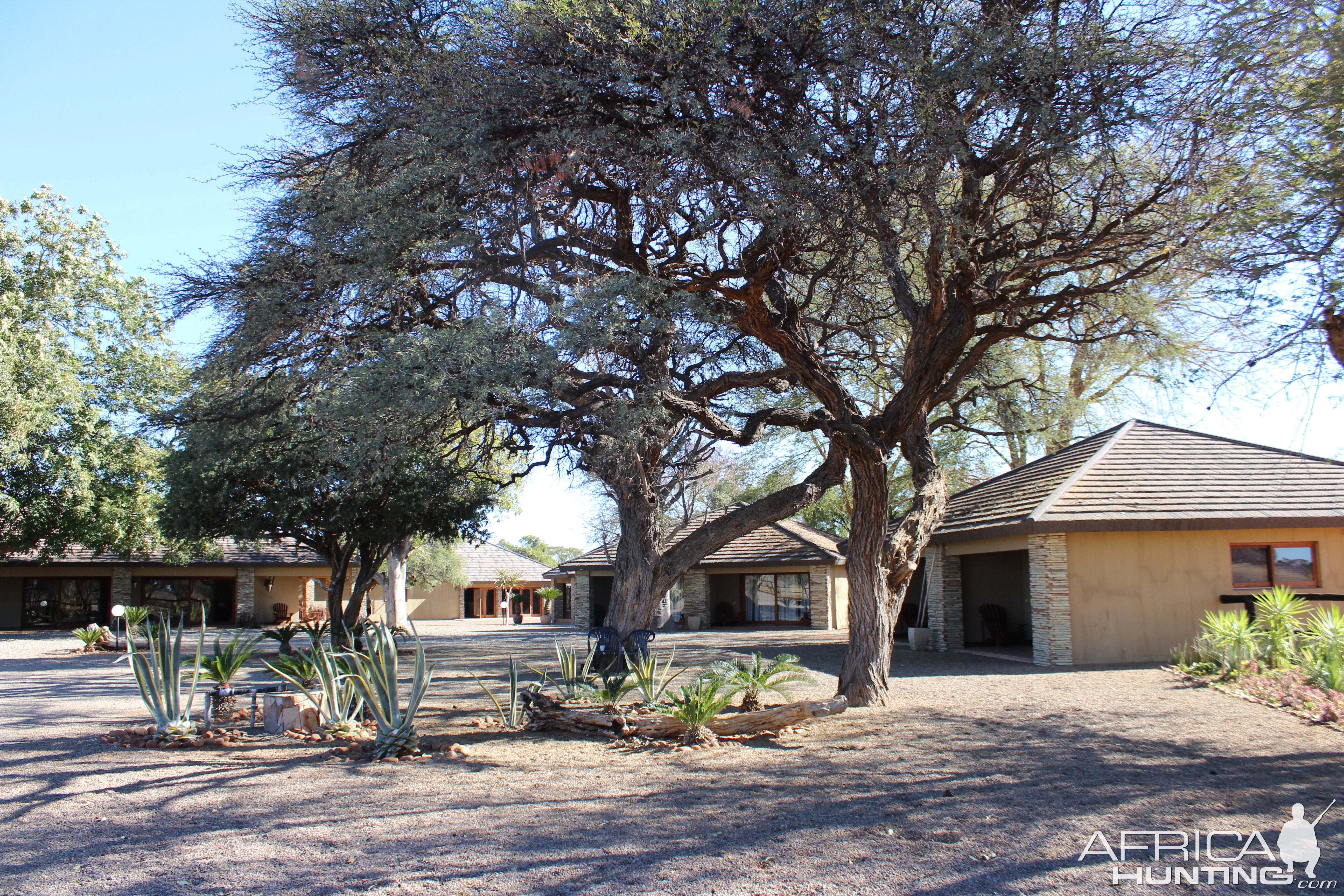 Hunting Lodge South Africa