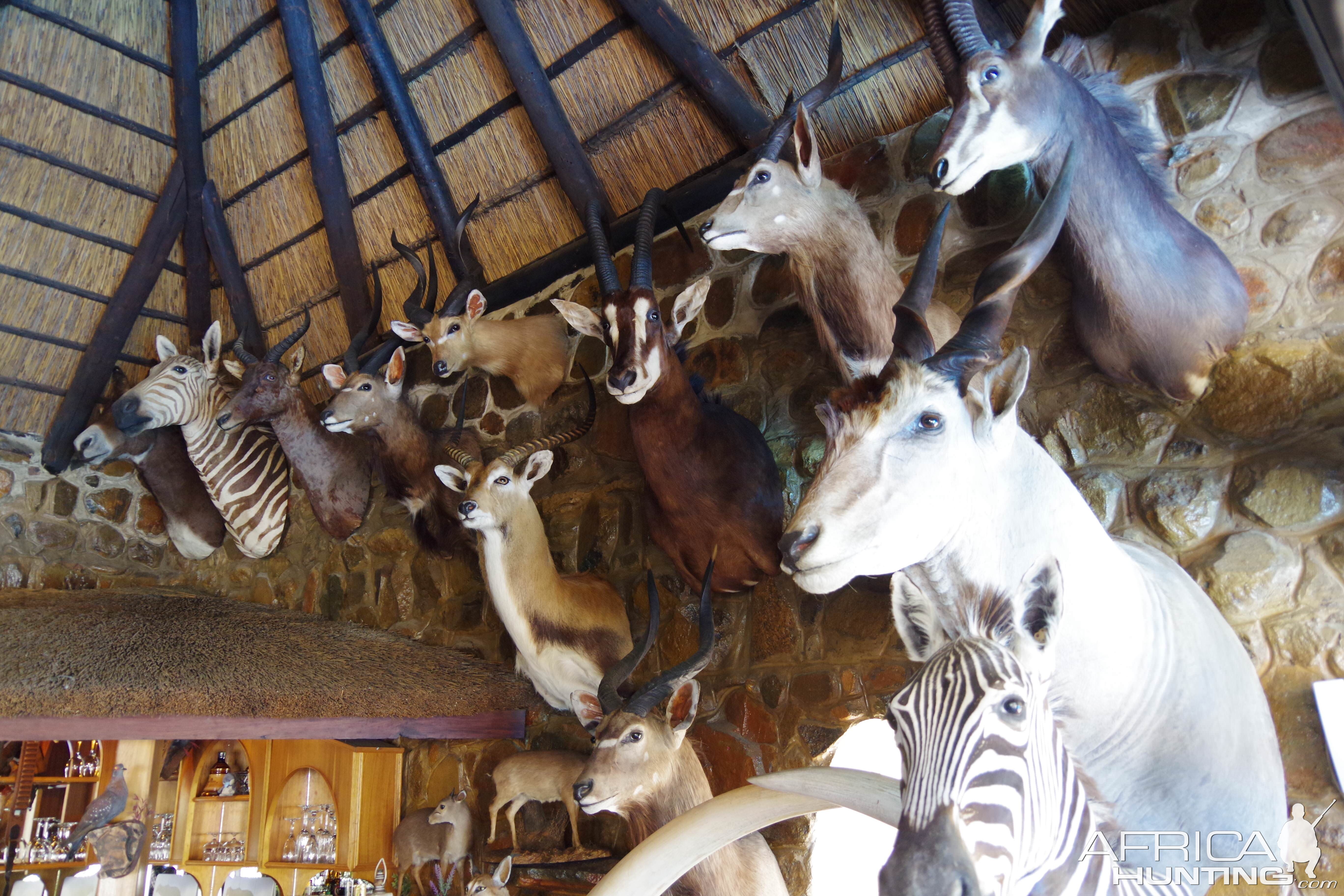 Hunting Lodge South Africa