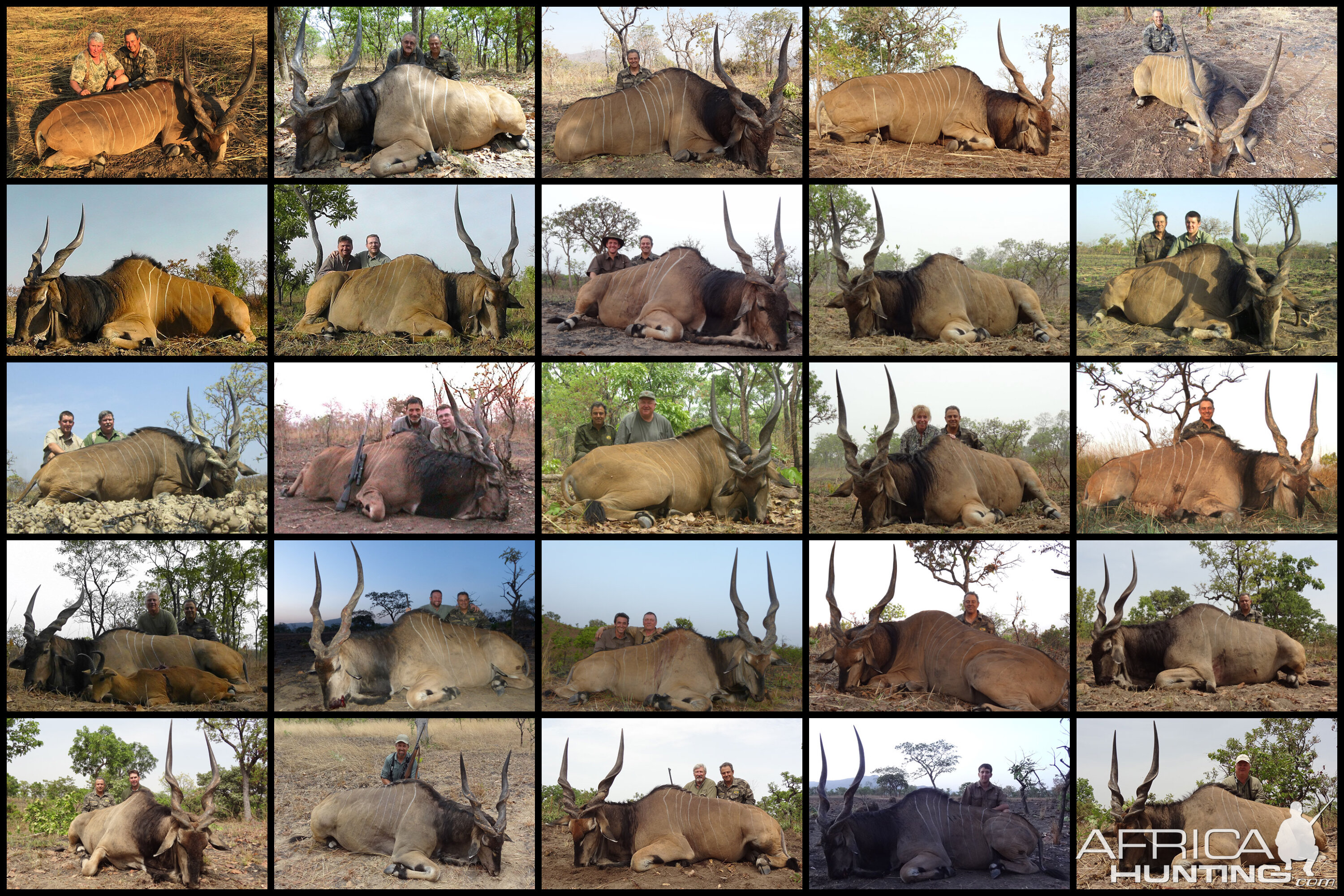 Hunting Lord Derby Eland in Cameroon